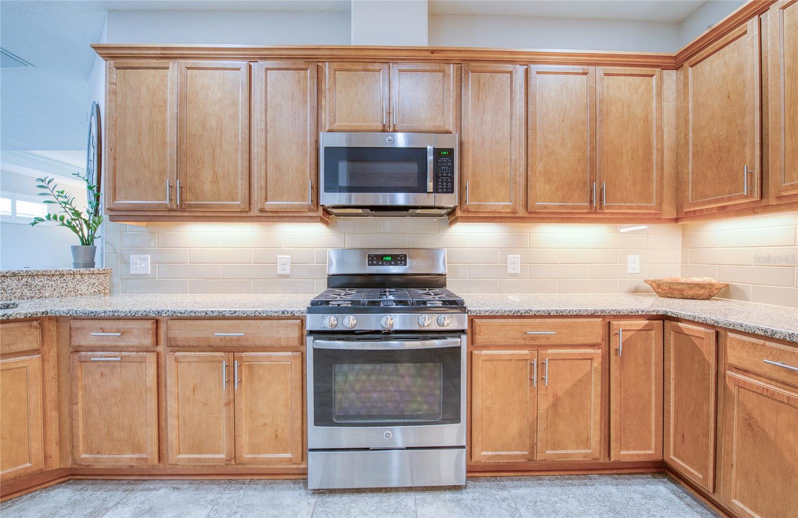 8099 PINE CREST ST, SEMINOLE, FL, 33777