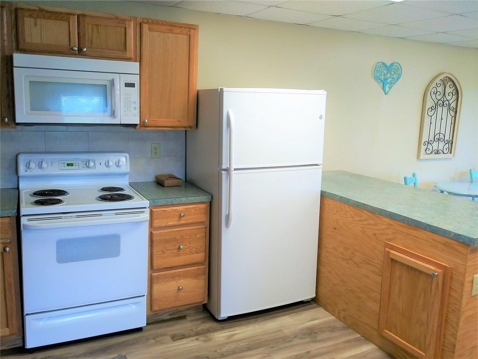 1673 BLACKWELDER RD, DE LEON SPRINGS, FL, 32130