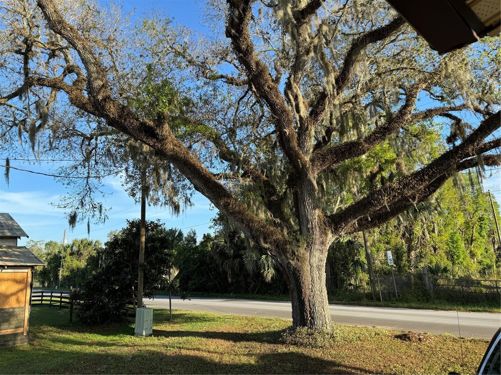 1673 BLACKWELDER RD, DE LEON SPRINGS, FL, 32130