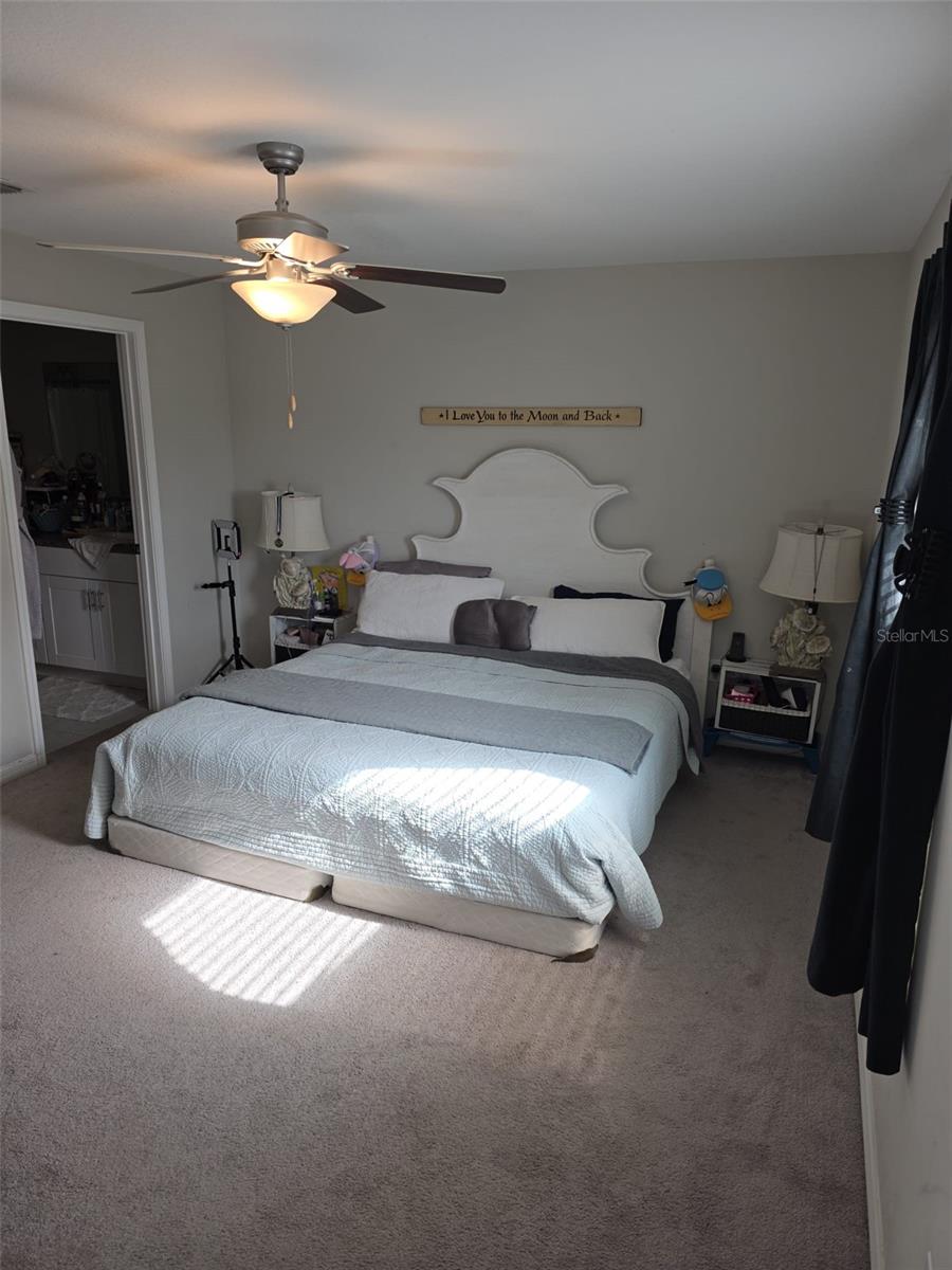 5104 DANDELION ST, APOLLO BEACH, FL, 33572