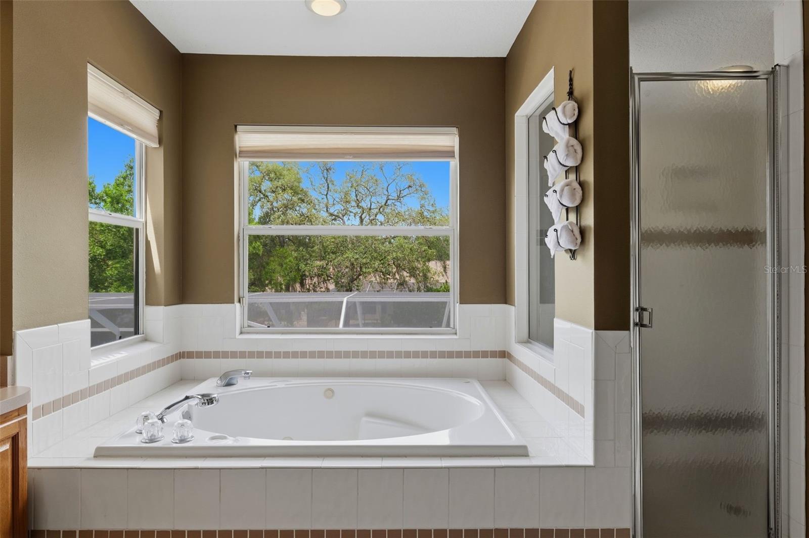 10019 BURBANK CT, NEW PORT RICHEY, FL, 34654