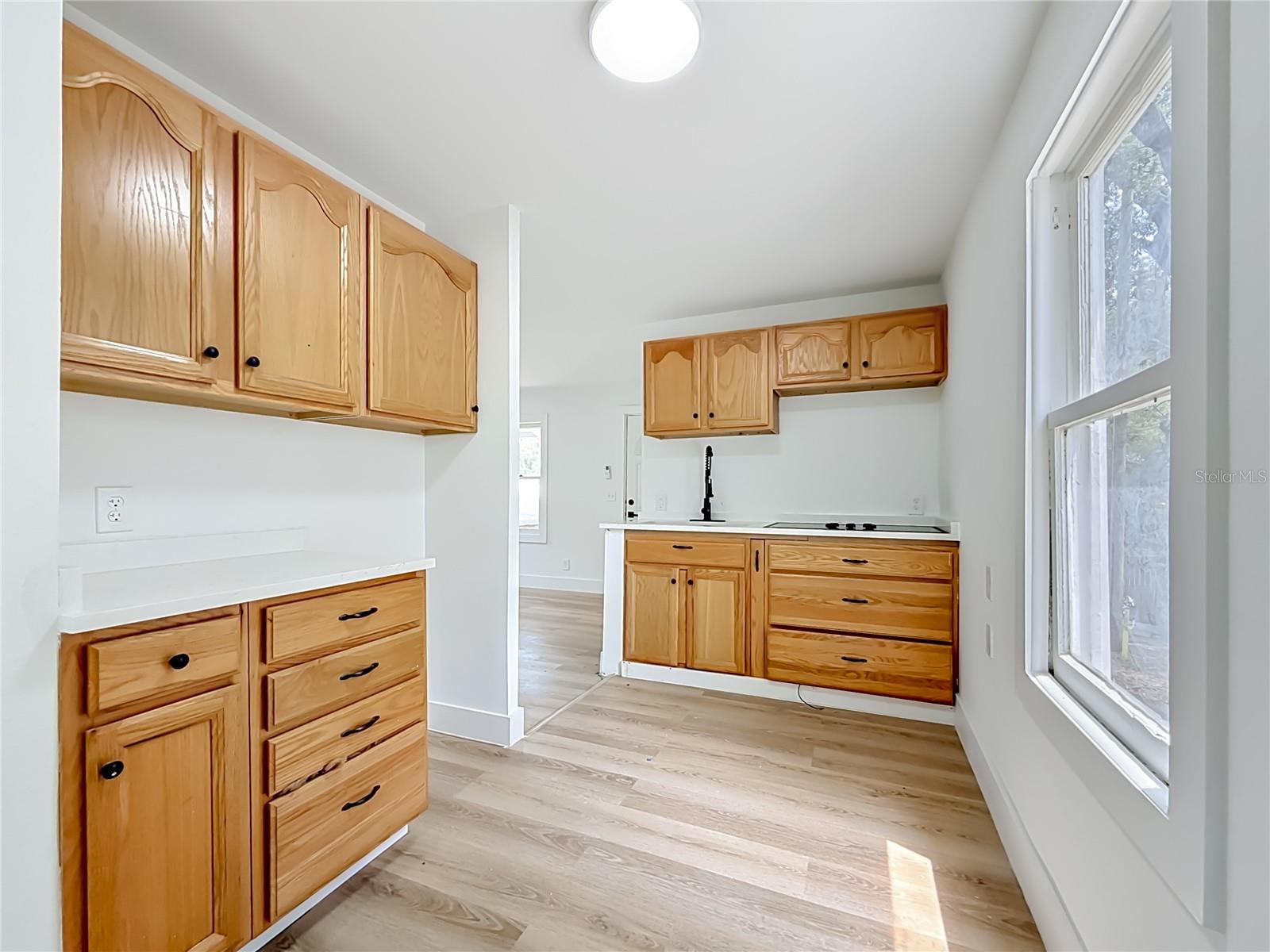 6705 N ELIZABETH ST, TAMPA, FL, 33604