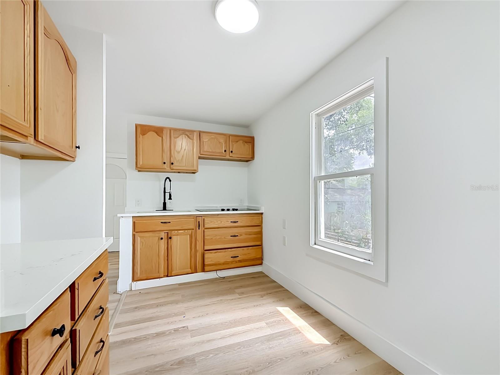6705 N ELIZABETH ST, TAMPA, FL, 33604