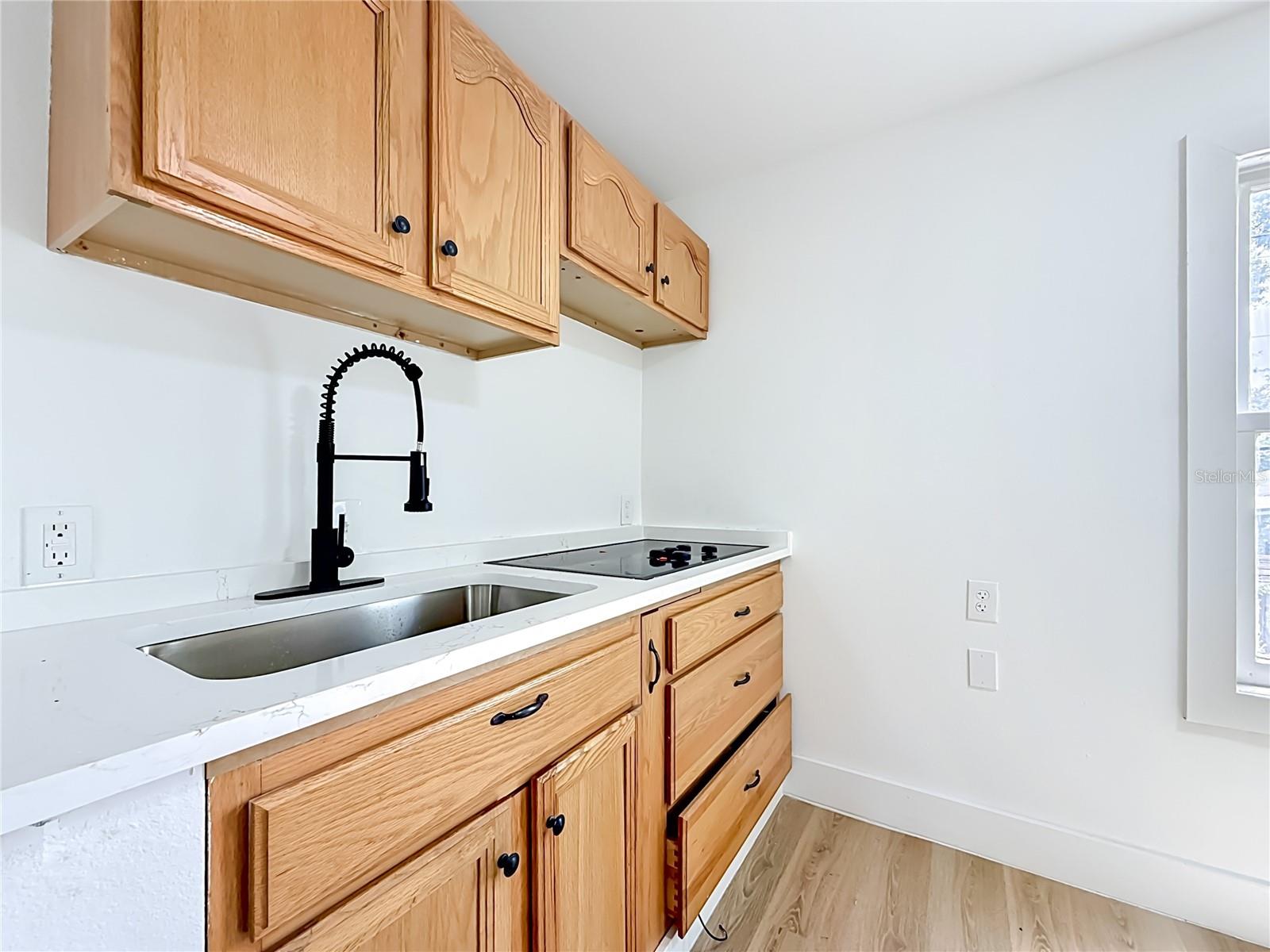 6705 N ELIZABETH ST, TAMPA, FL, 33604