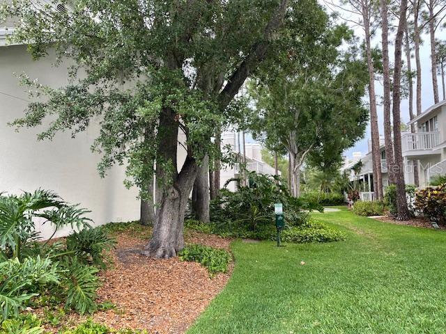 5112 BAYSHORE BLVD, TAMPA, FL, 33611