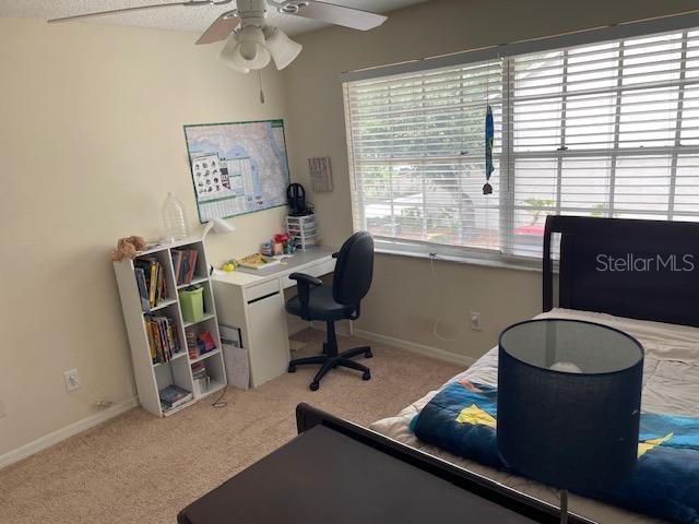 5112 BAYSHORE BLVD, TAMPA, FL, 33611