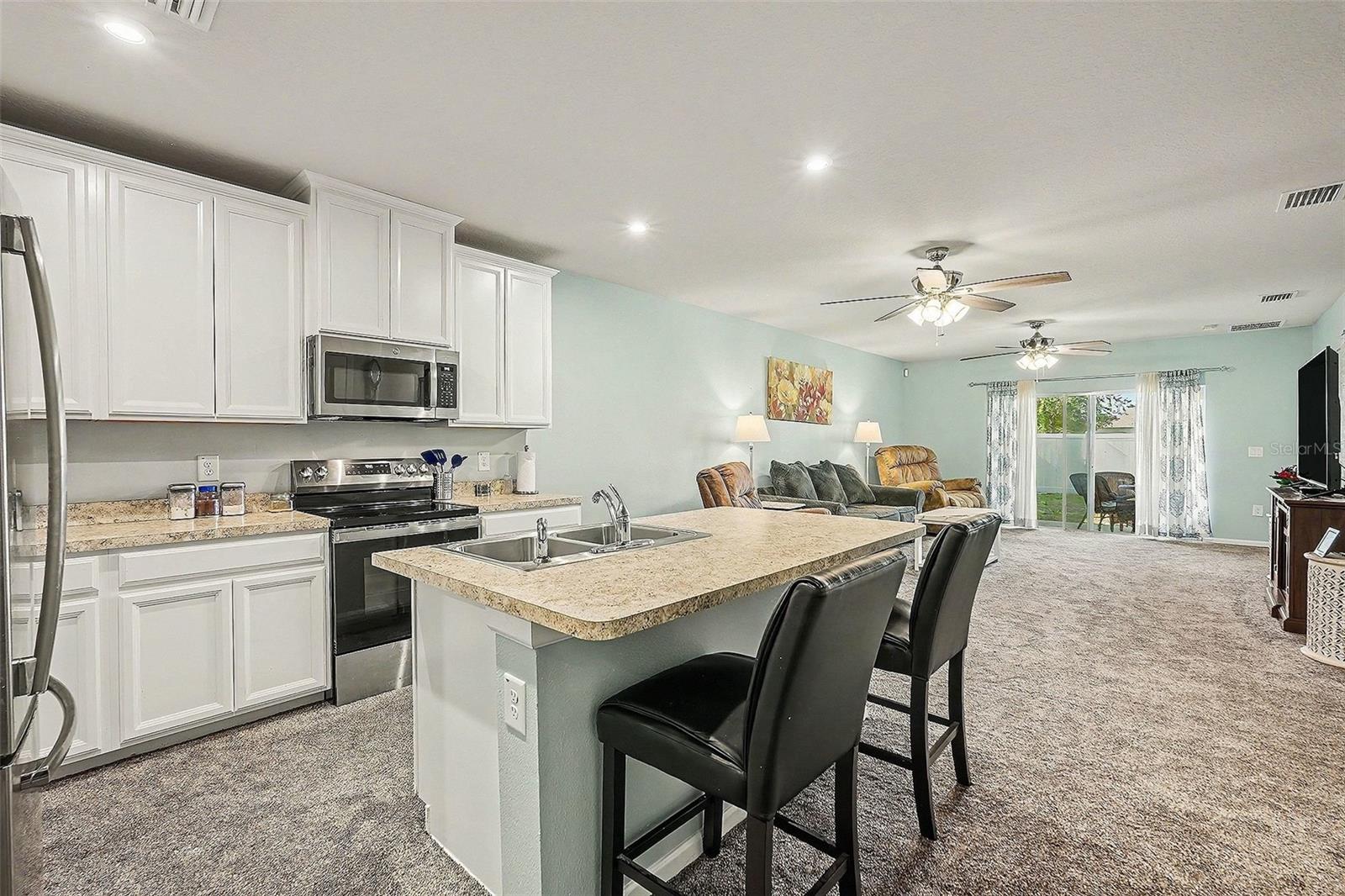 17745 TURNING LEAF CIR, LAND O LAKES, FL, 34638