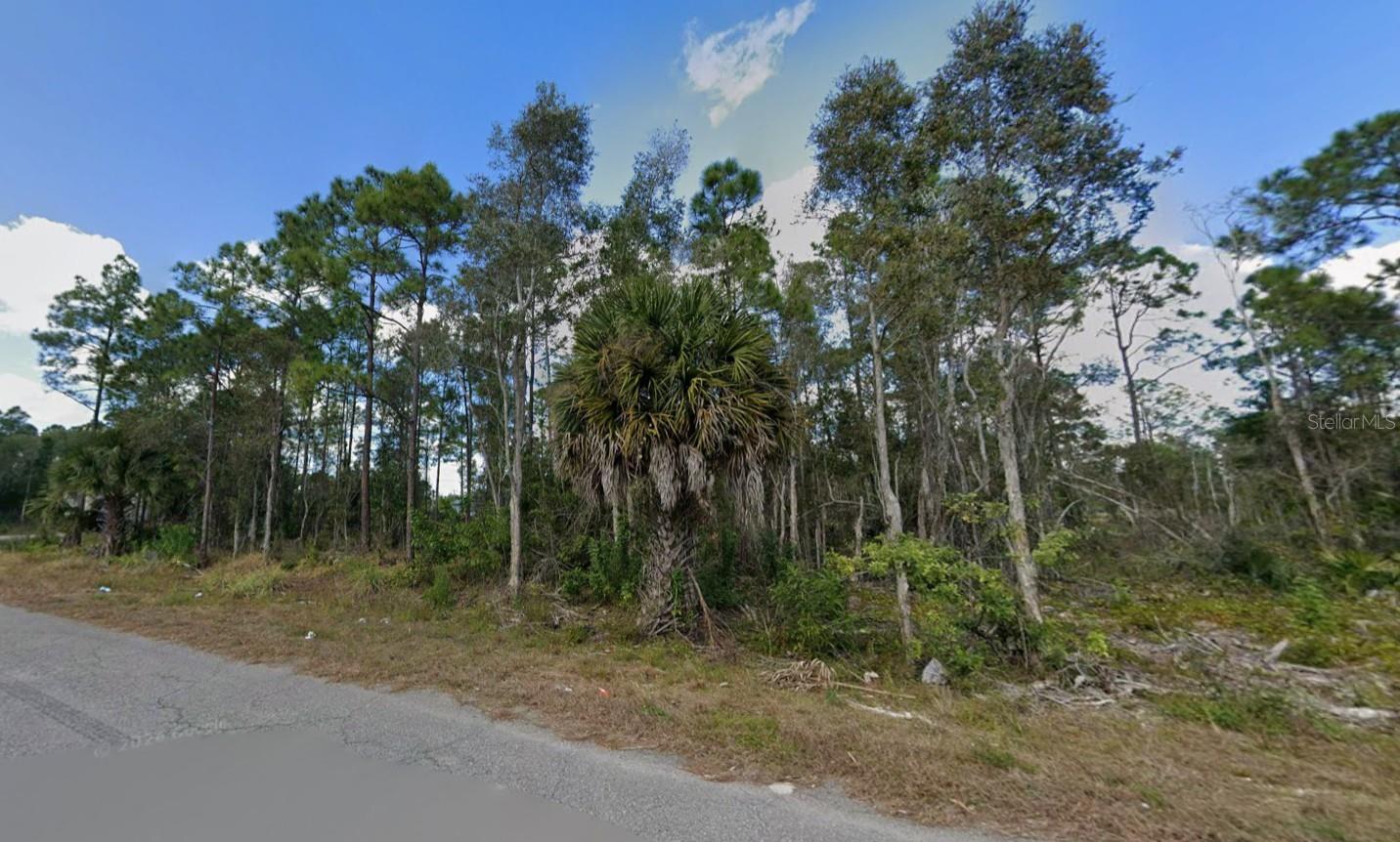 453 CONLEE ST, LEHIGH ACRES, FL, 33974