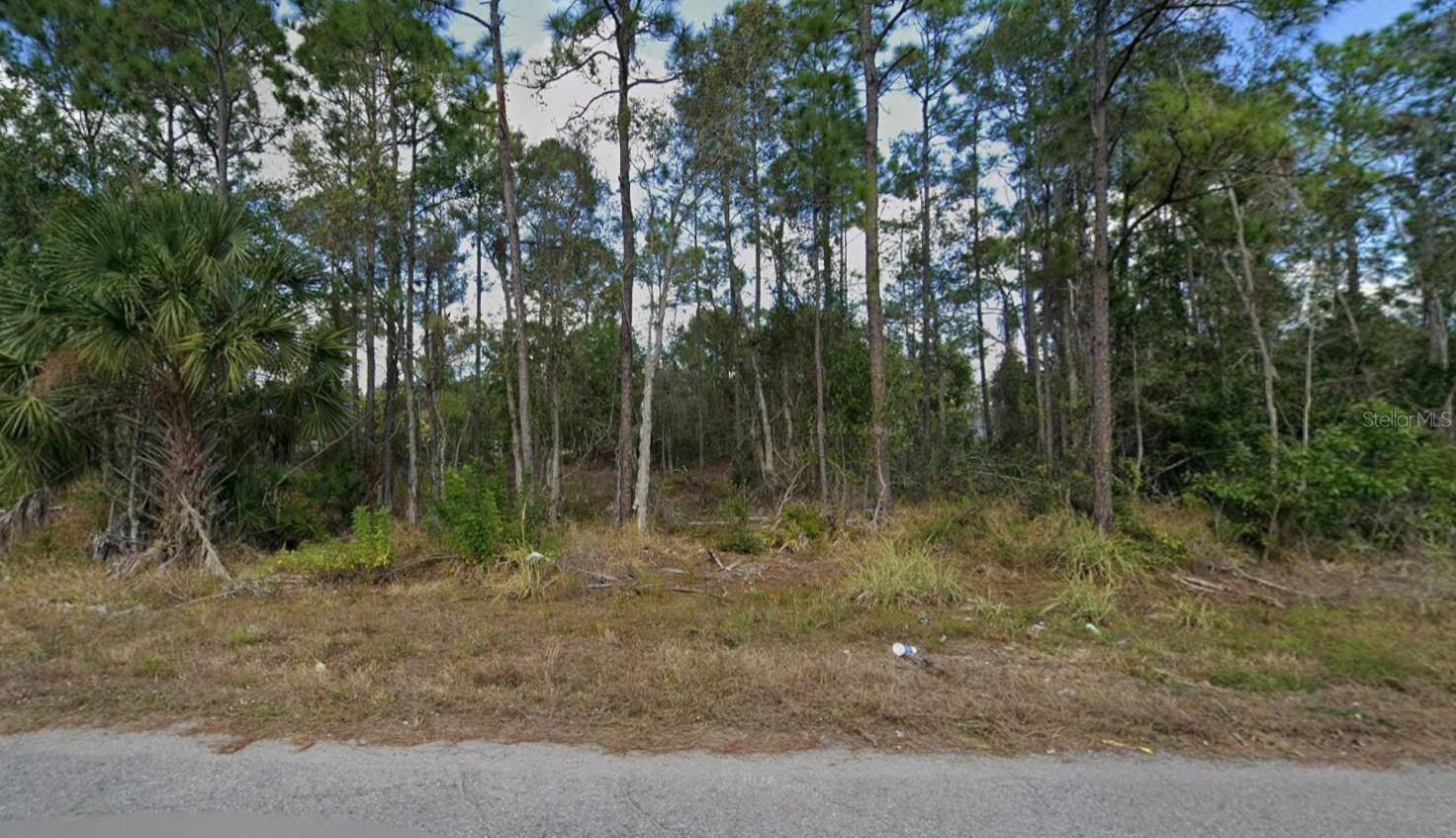 453 CONLEE ST, LEHIGH ACRES, FL, 33974