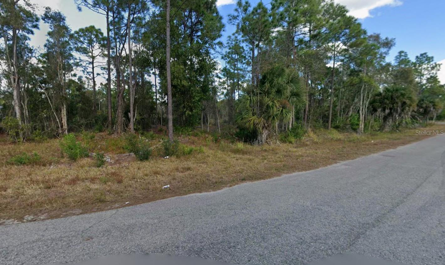 453 CONLEE ST, LEHIGH ACRES, FL, 33974