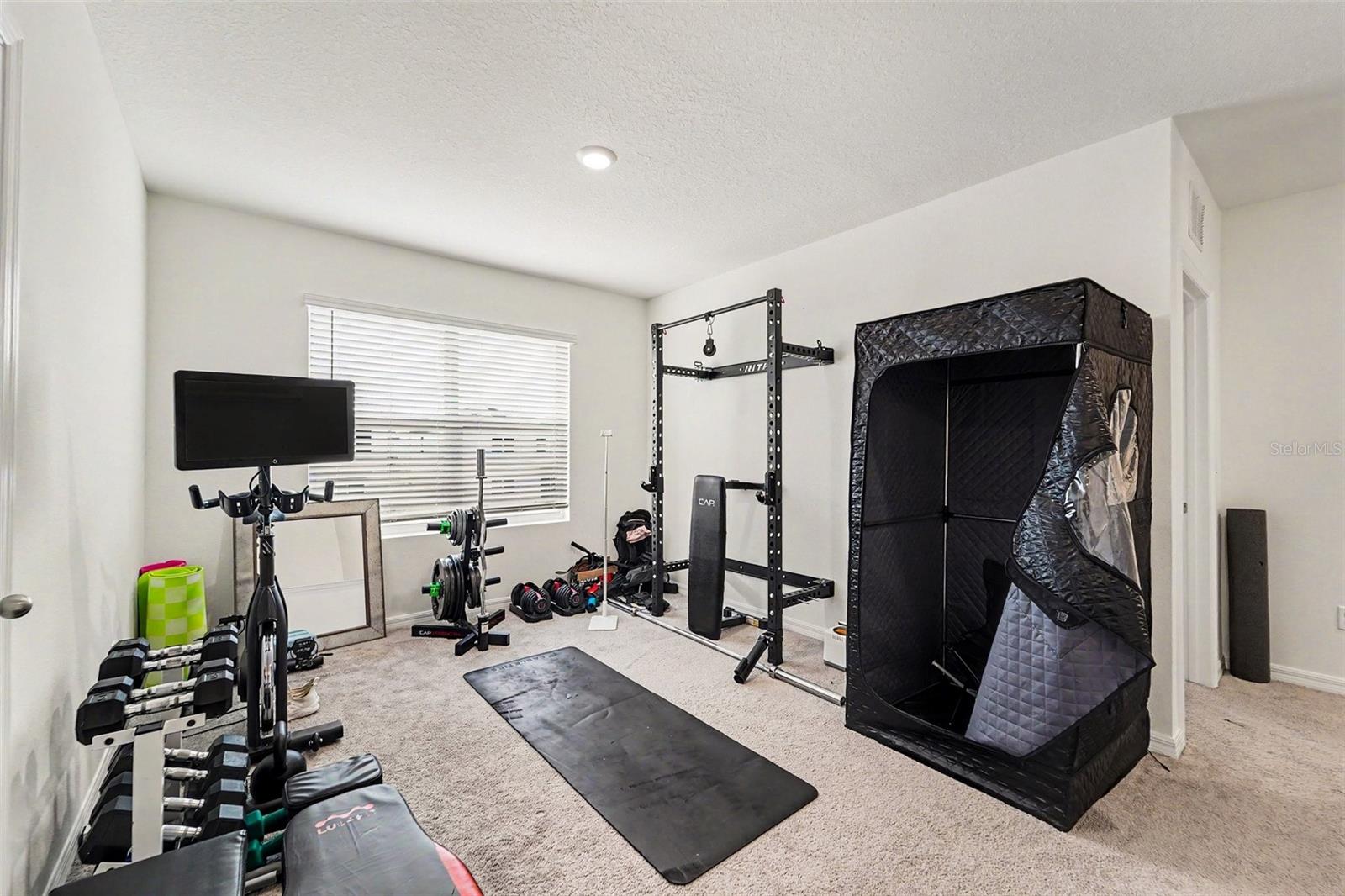 33567 HAMILTON HILL LN, WESLEY CHAPEL, FL, 33545