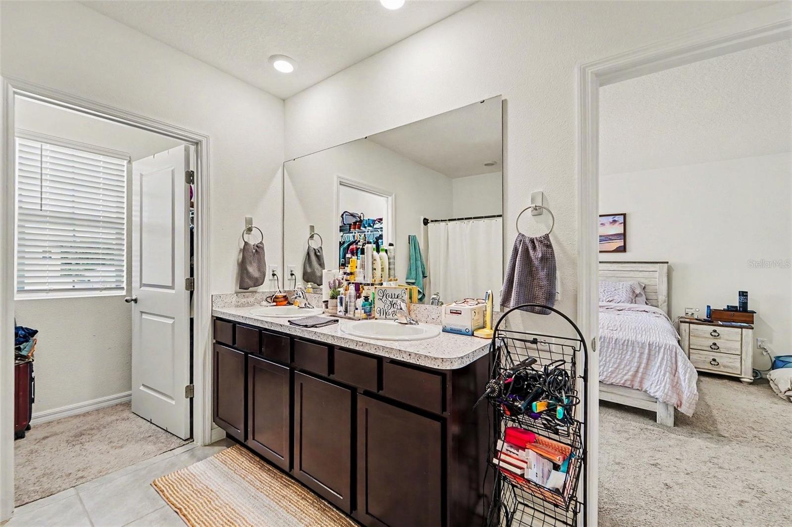 33567 HAMILTON HILL LN, WESLEY CHAPEL, FL, 33545