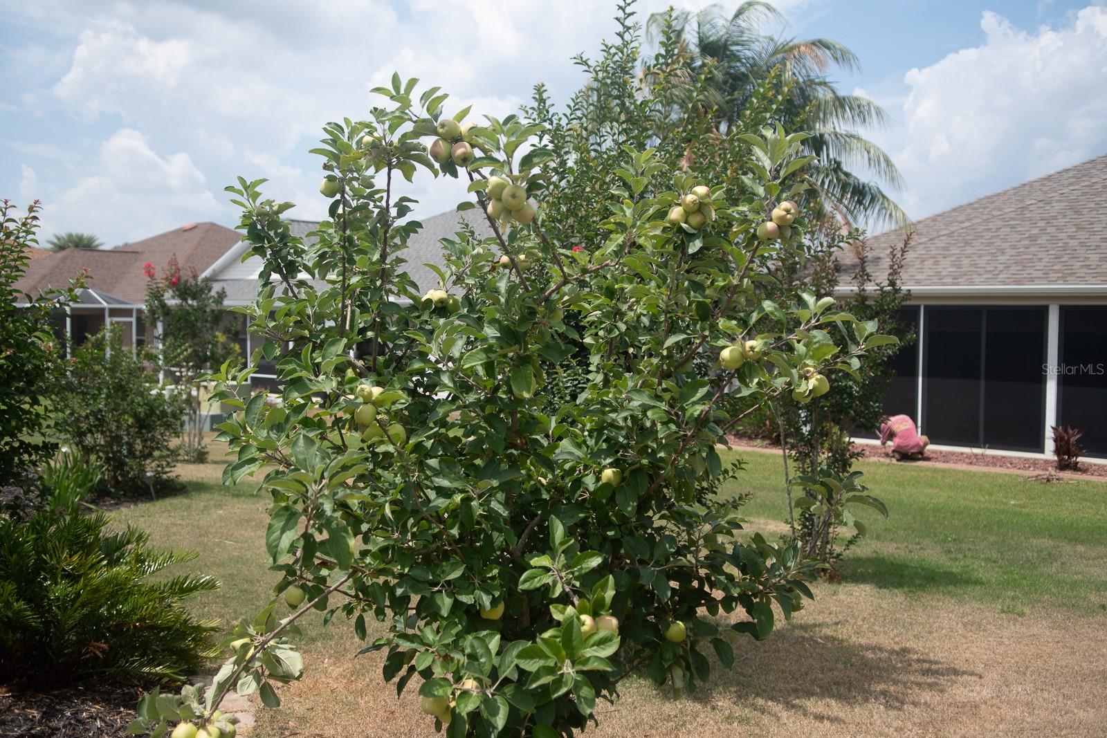 2633 ENGLISH IVY CIR, THE VILLAGES, FL, 32162