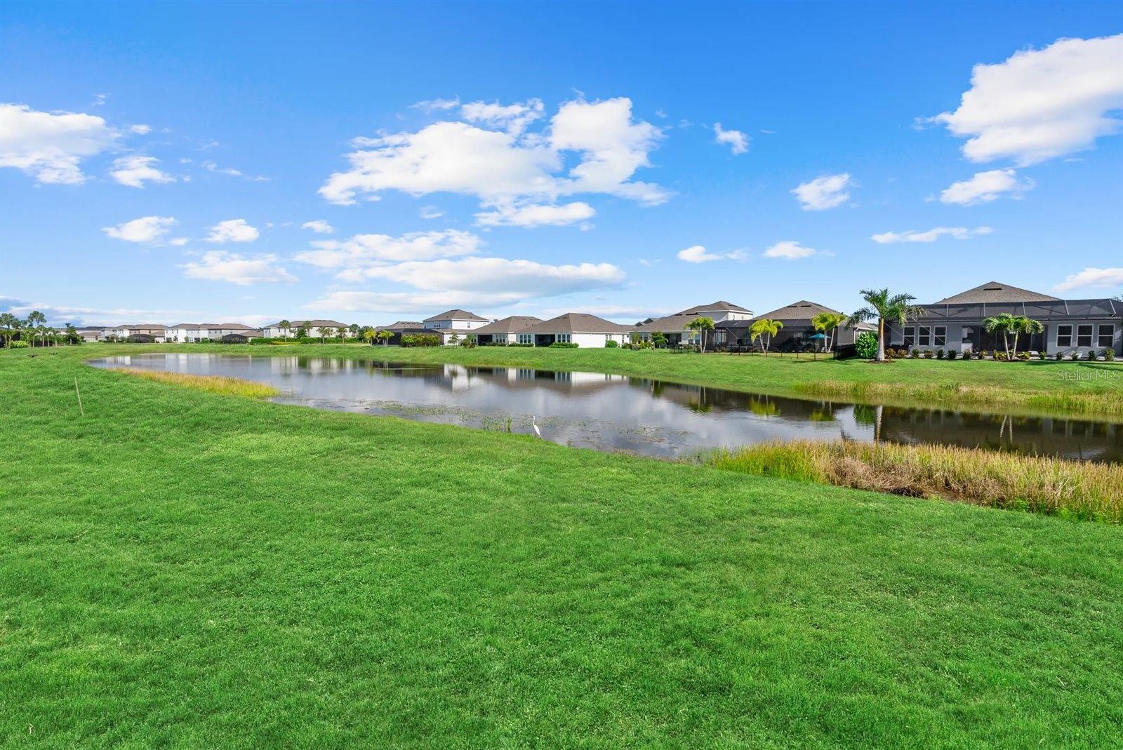 16435 STAR GRASS CIR, BRADENTON, FL, 34211