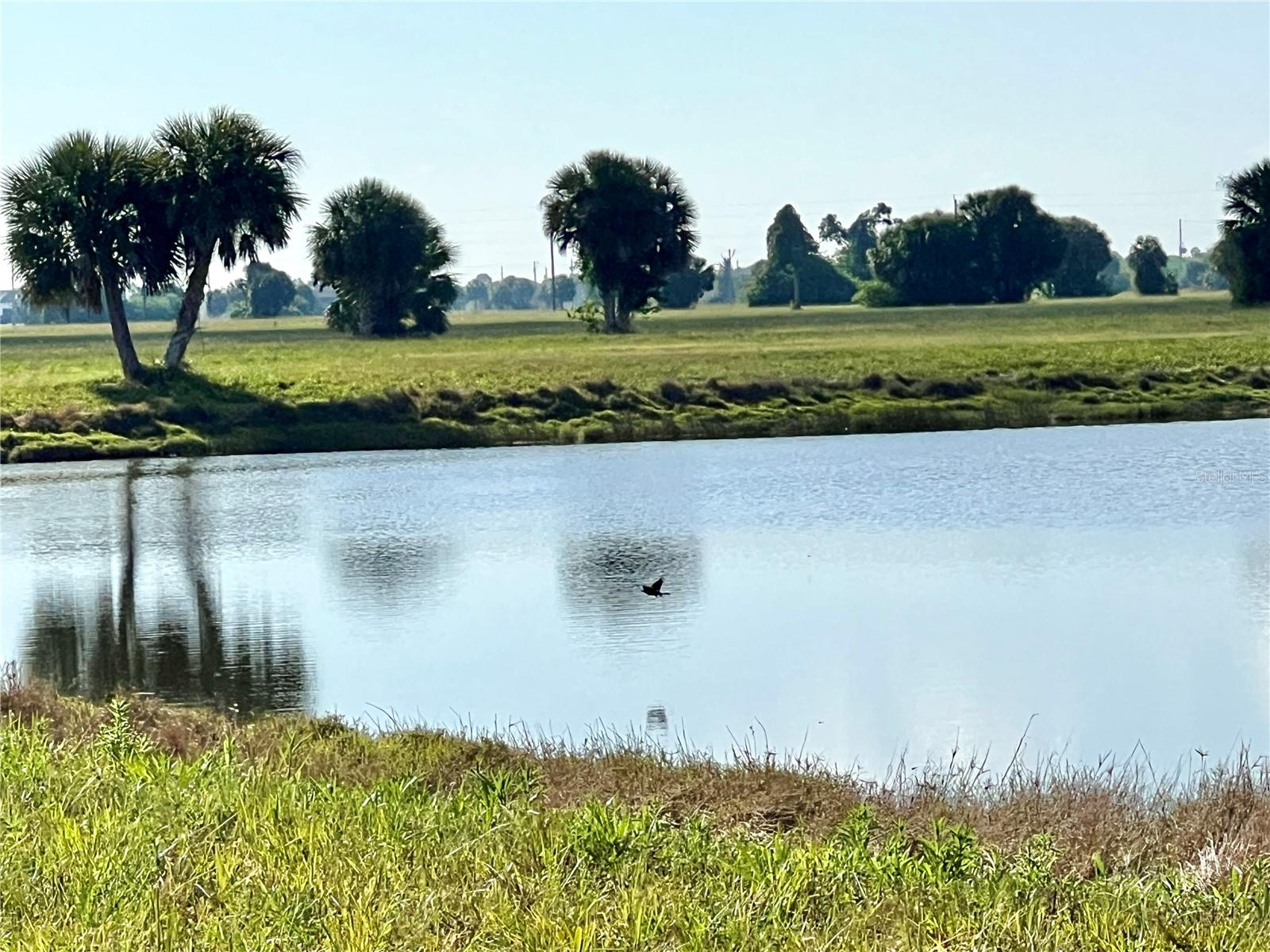 13 MANGO CT, PLACIDA, FL, 33946