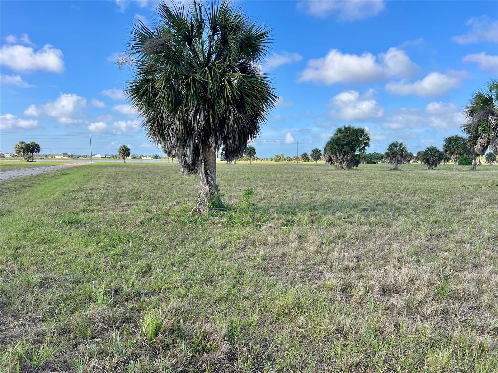 13 MANGO CT, PLACIDA, FL, 33946