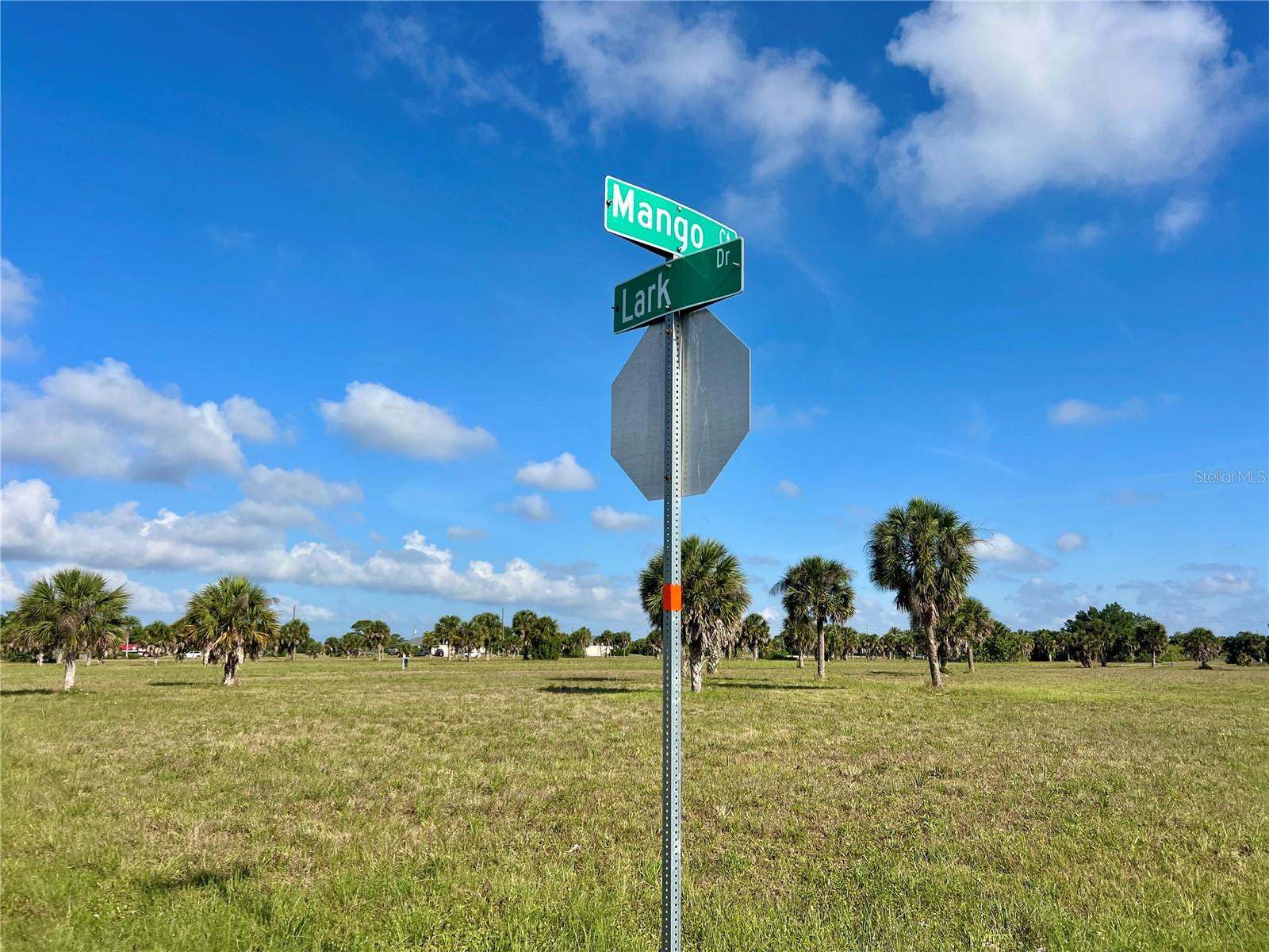 13 MANGO CT, PLACIDA, FL, 33946