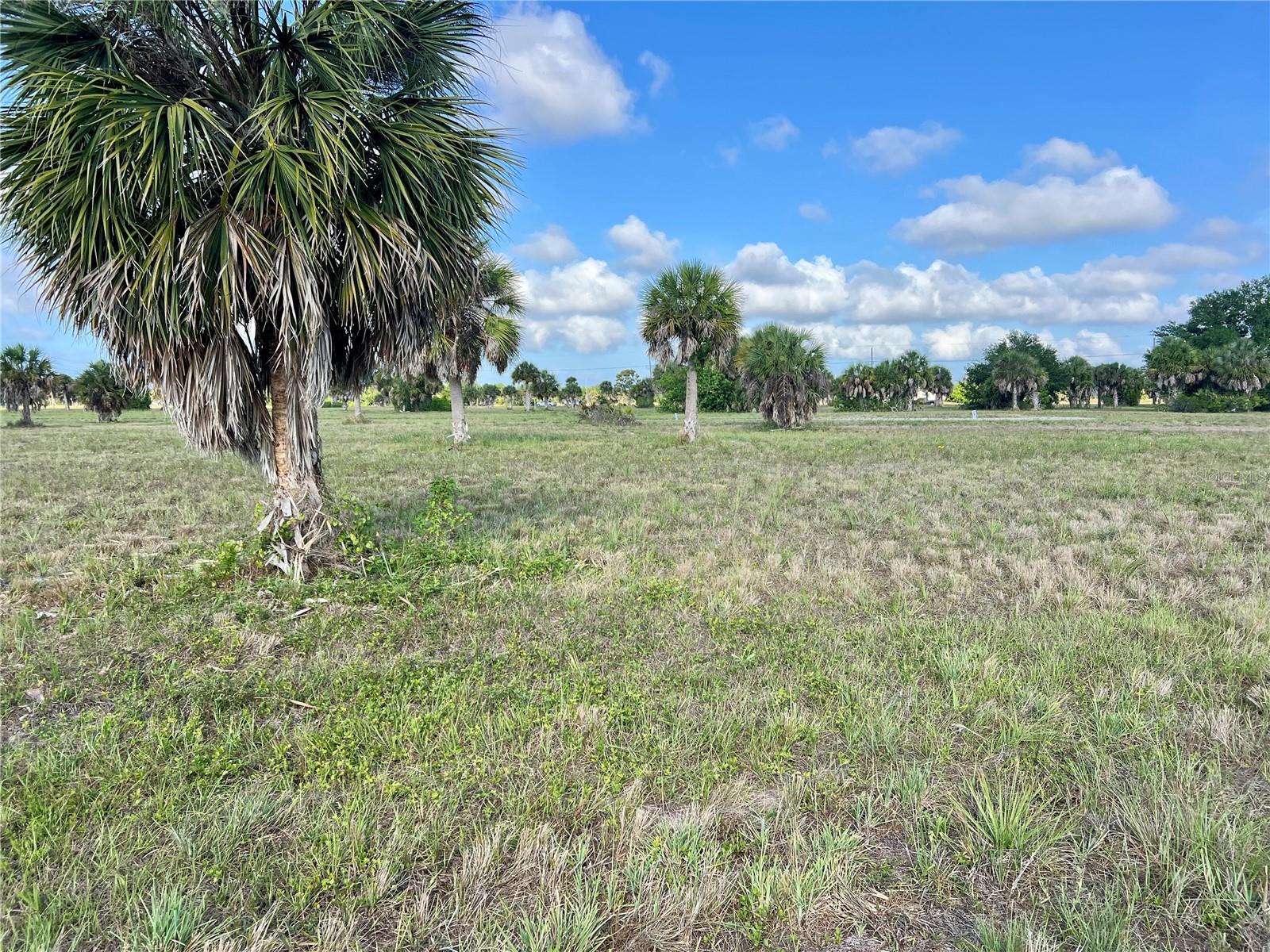 13 MANGO CT, PLACIDA, FL, 33946