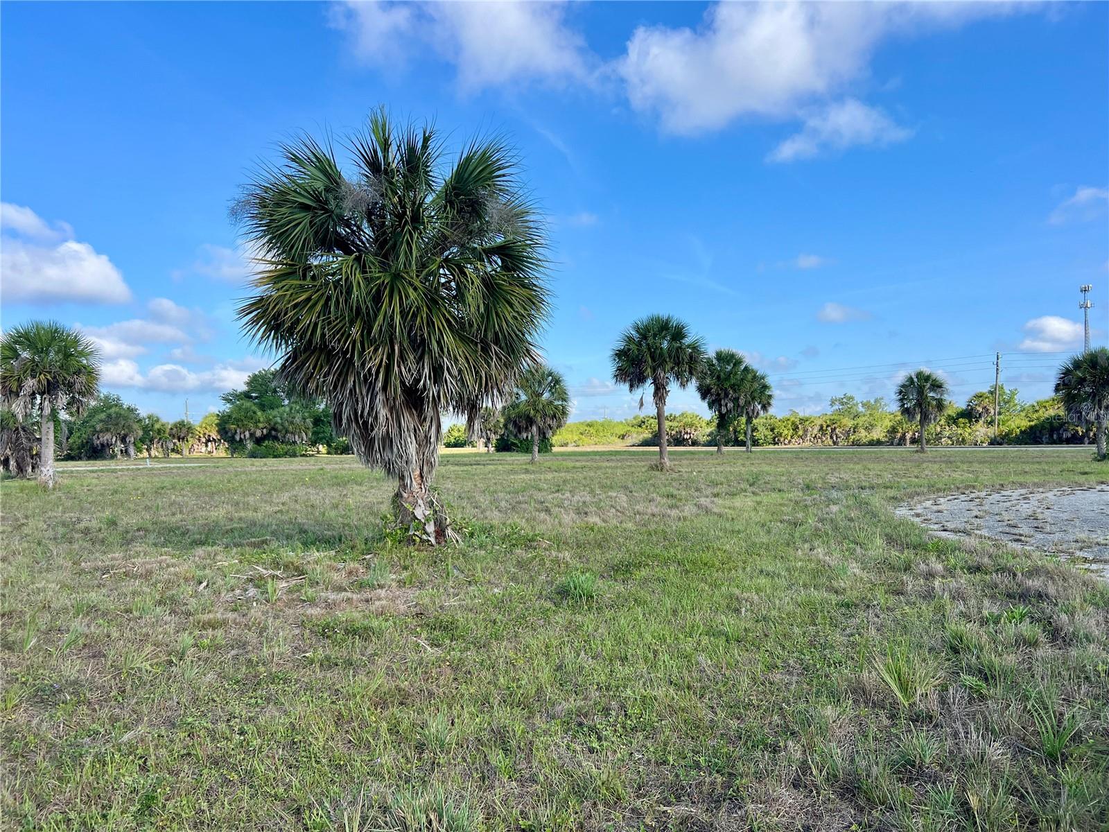 13 MANGO CT, PLACIDA, FL, 33946