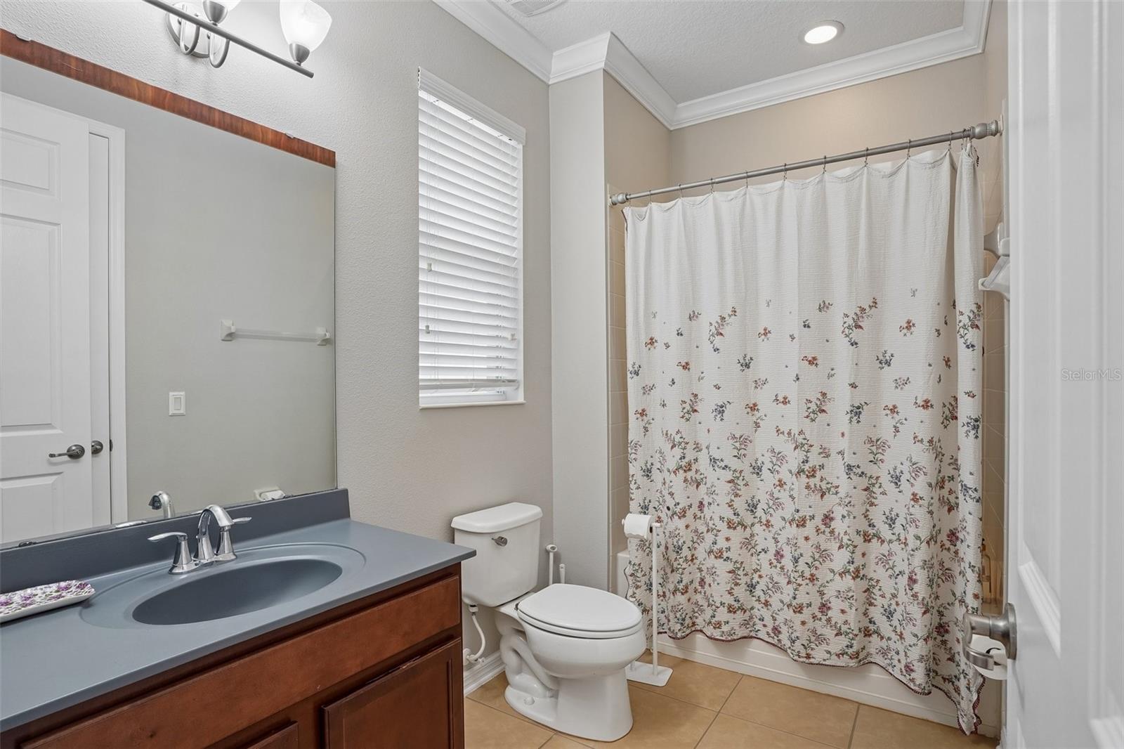3184 PARK MEADOW DR, APOPKA, FL, 32703