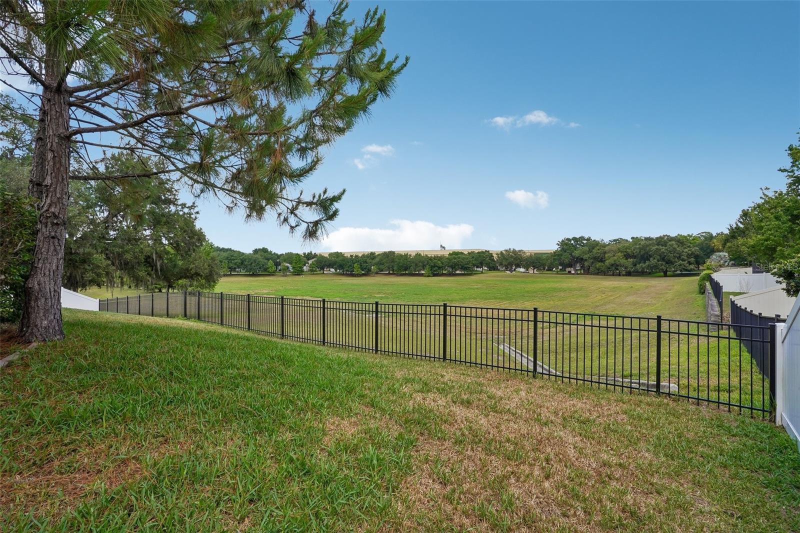 3184 PARK MEADOW DR, APOPKA, FL, 32703