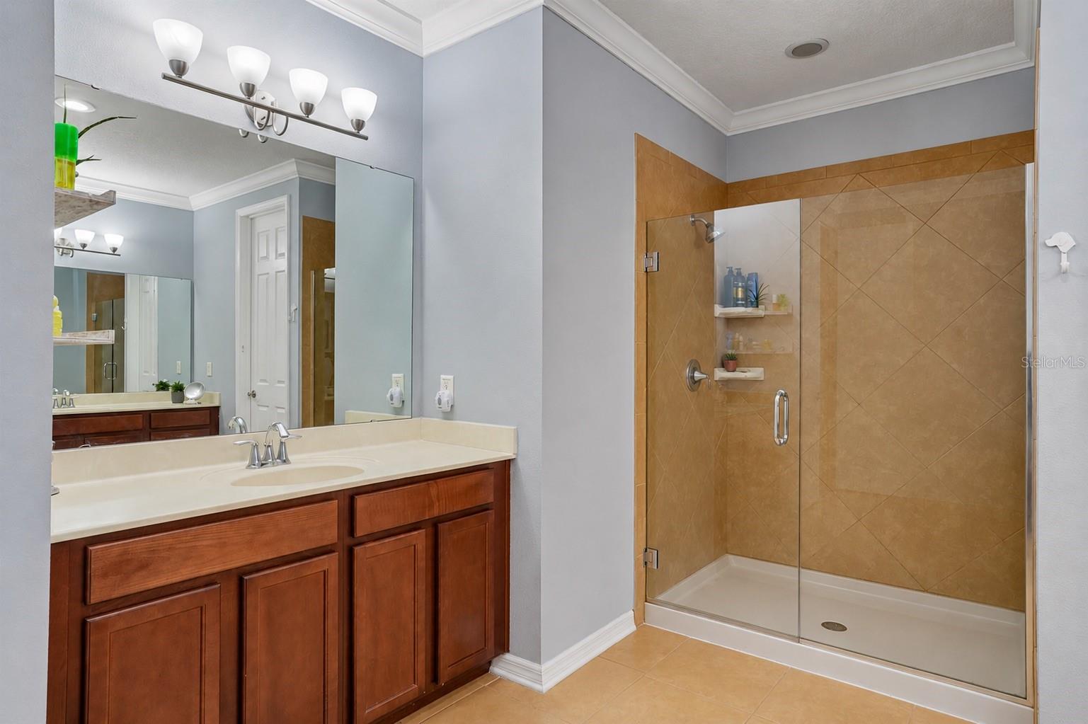 3184 PARK MEADOW DR, APOPKA, FL, 32703