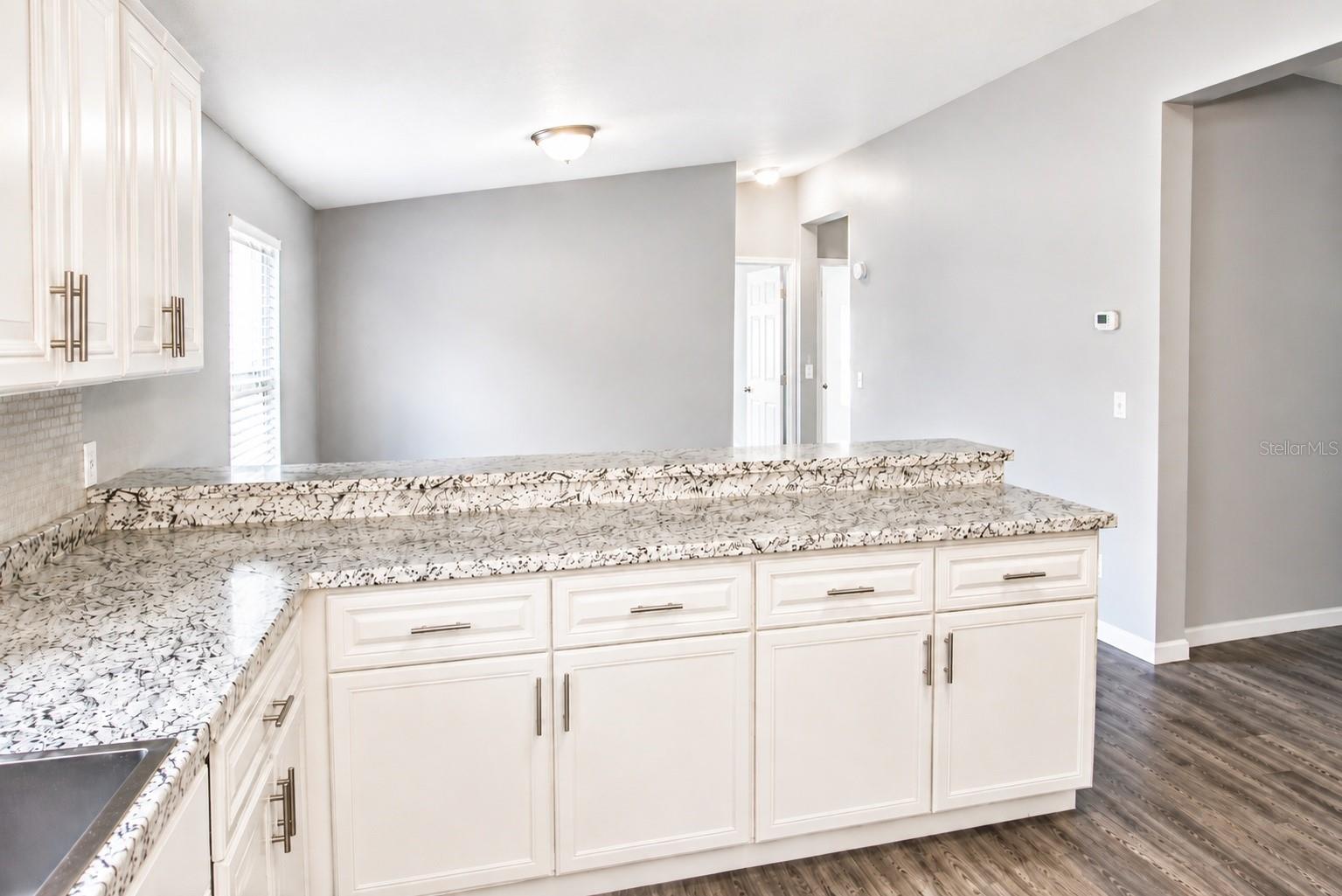 4517 LA FORCE ST, ZEPHYRHILLS, FL, 33542
