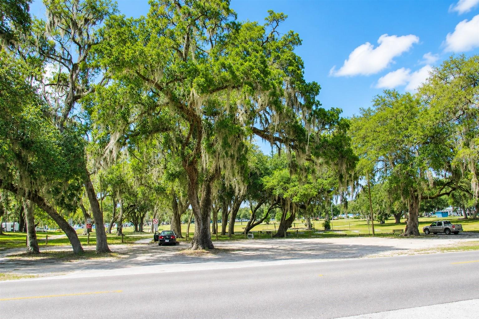4517 LA FORCE ST, ZEPHYRHILLS, FL, 33542