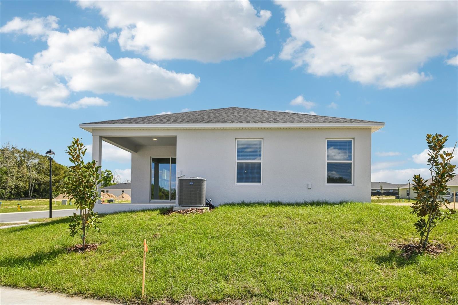 20404 LAVENDER BLOOM LOOP, MOUNT DORA, FL, 32757