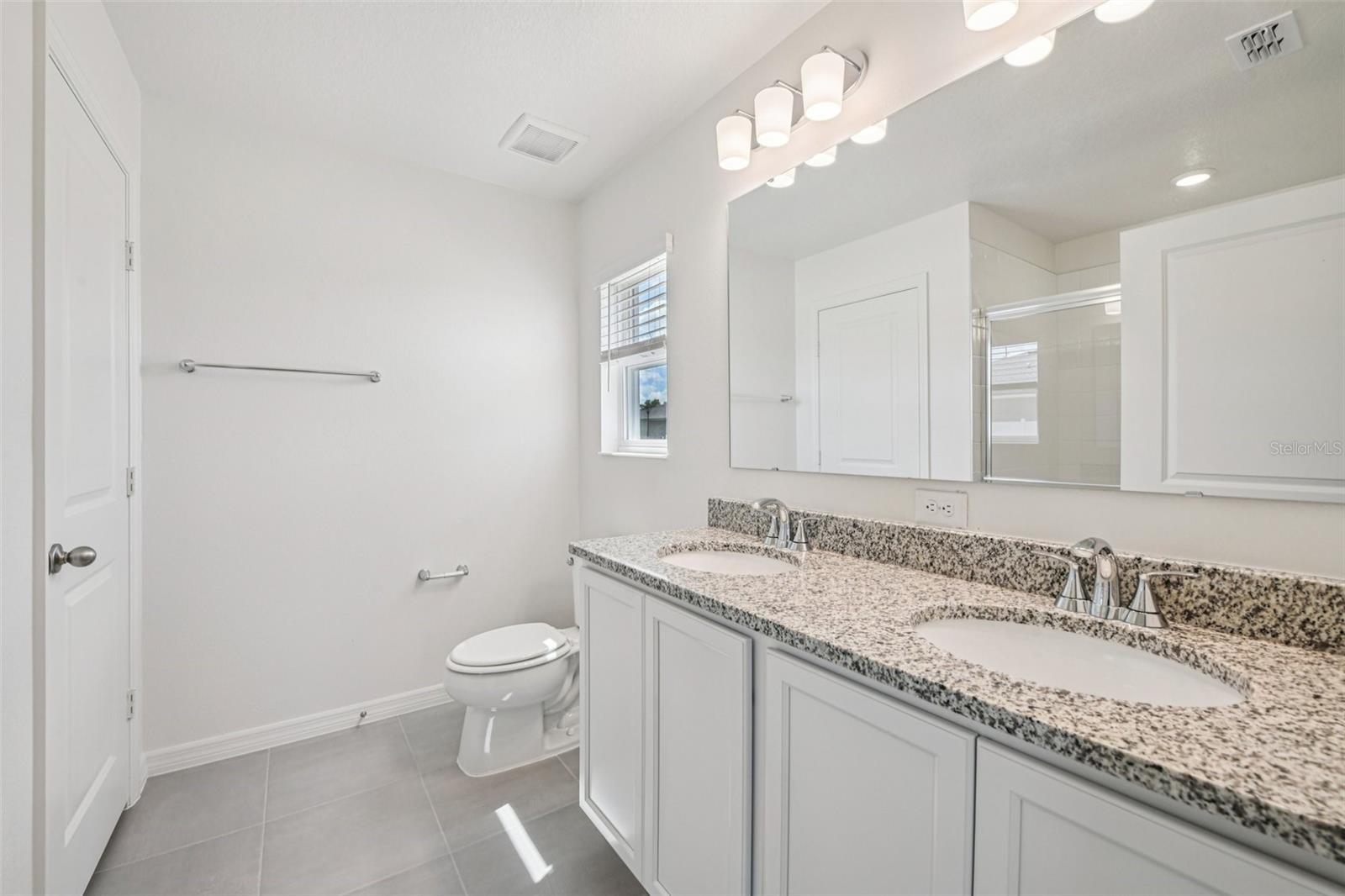 20404 LAVENDER BLOOM LOOP, MOUNT DORA, FL, 32757