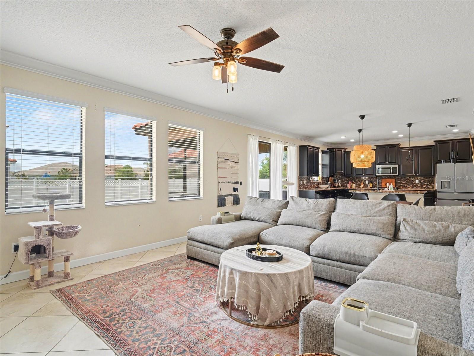 12027 CARDINAL FLOWER DR, RIVERVIEW, FL, 33579