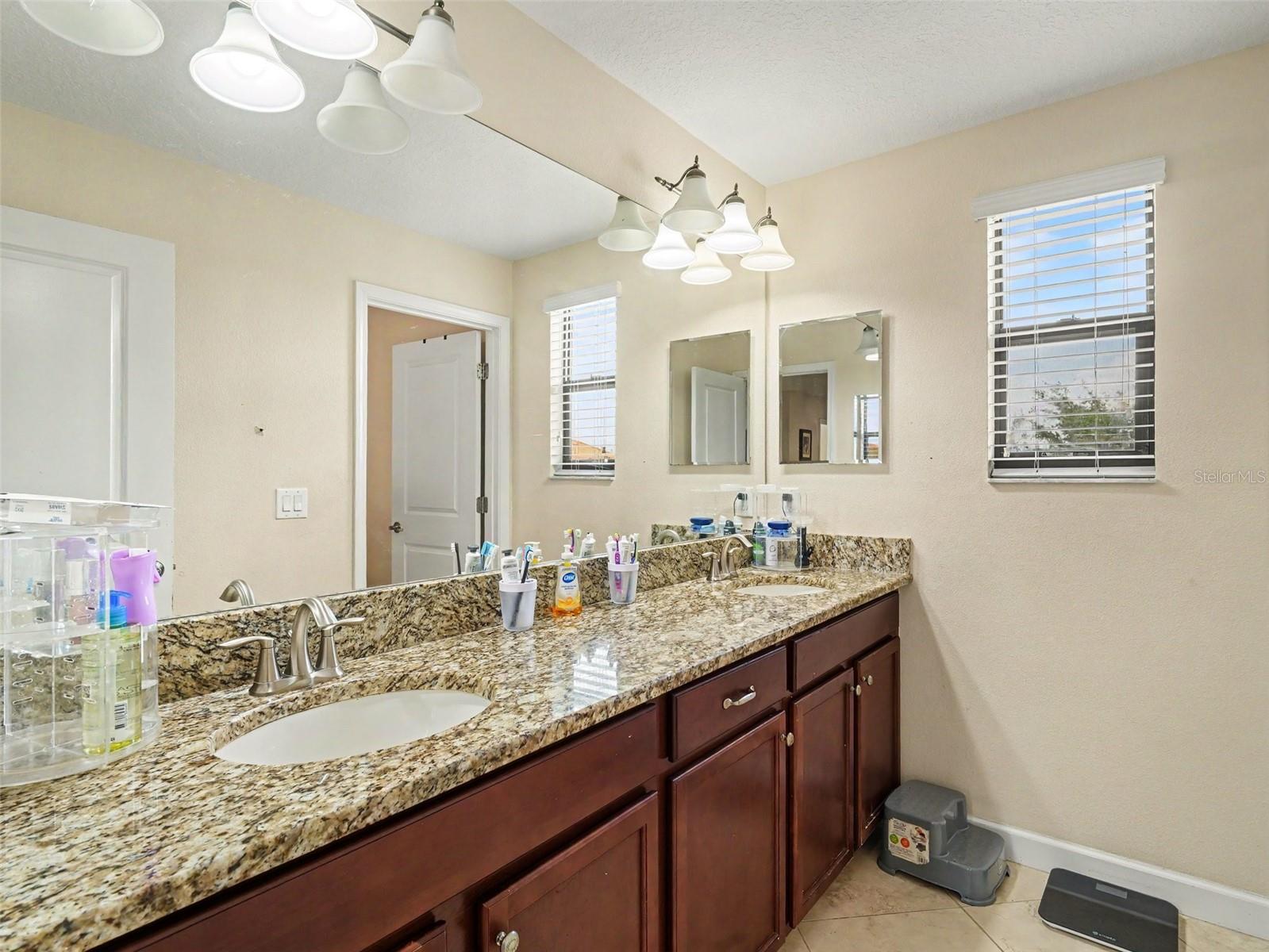 12027 CARDINAL FLOWER DR, RIVERVIEW, FL, 33579