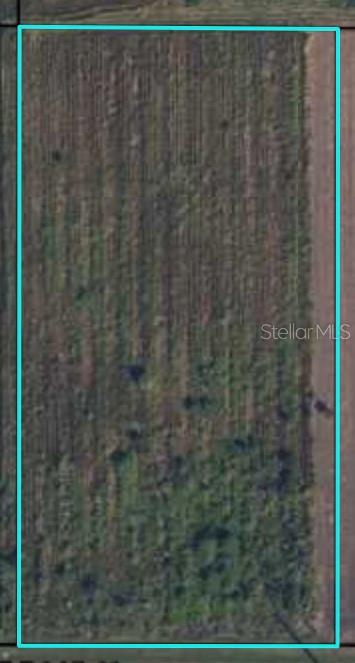 ST RD 62, BOWLING GREEN, FL, 33834