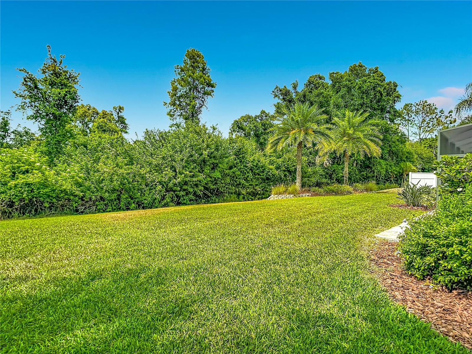 19128 CENTRE ROSE BLVD, LUTZ, FL, 33558