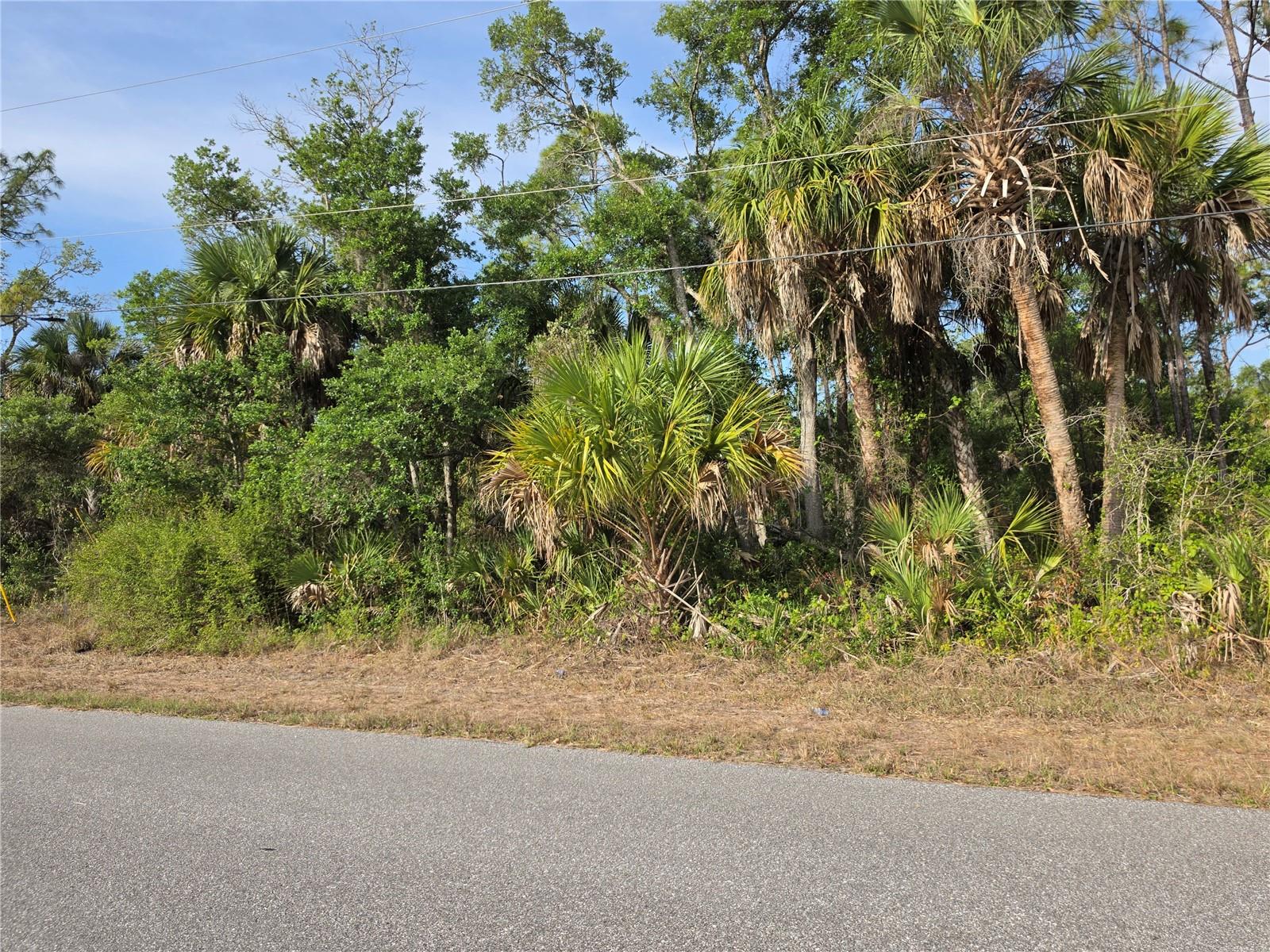 1193 HAMMACHER LN, PORT CHARLOTTE, FL, 33953