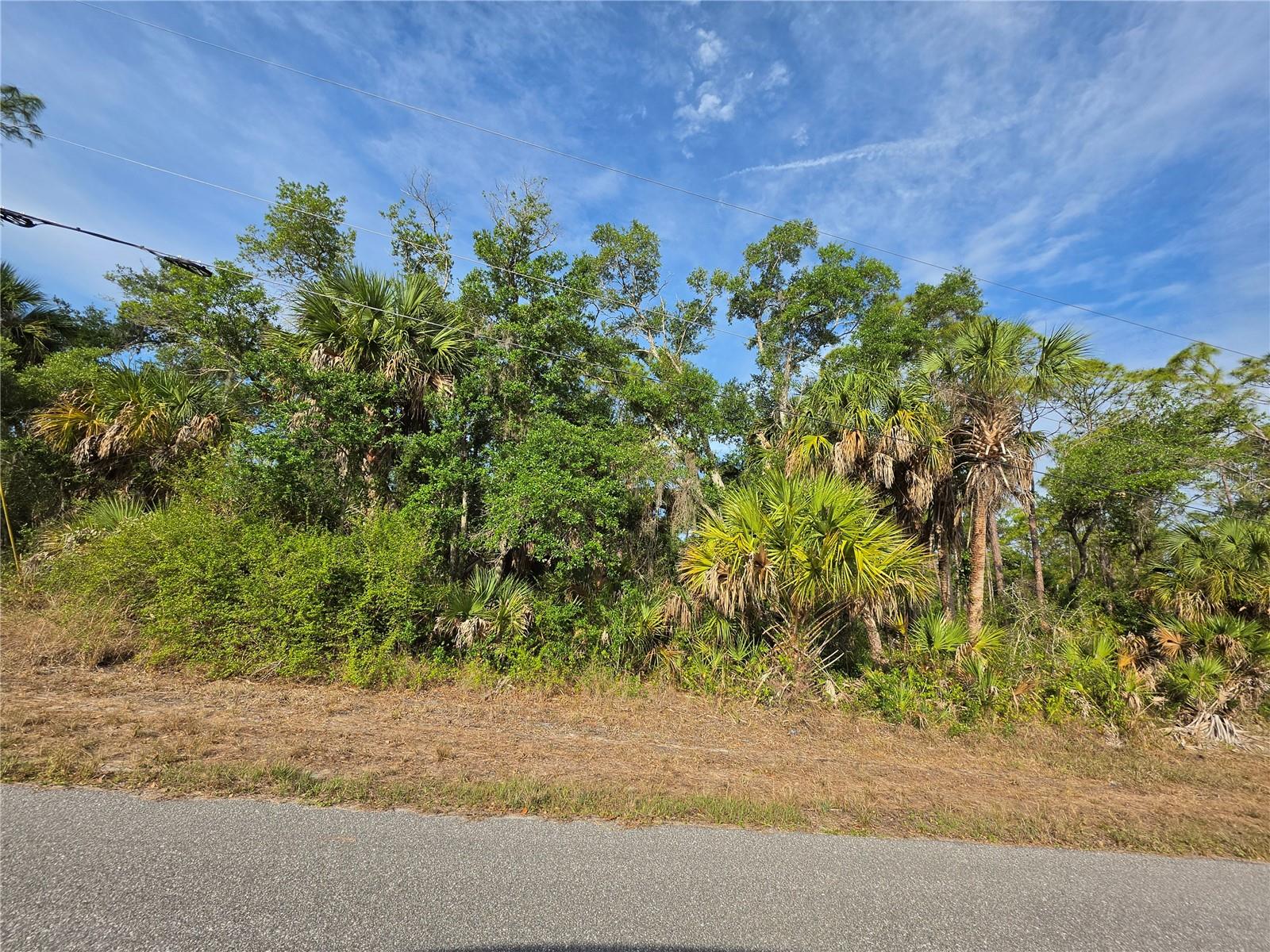 1193 HAMMACHER LN, PORT CHARLOTTE, FL, 33953