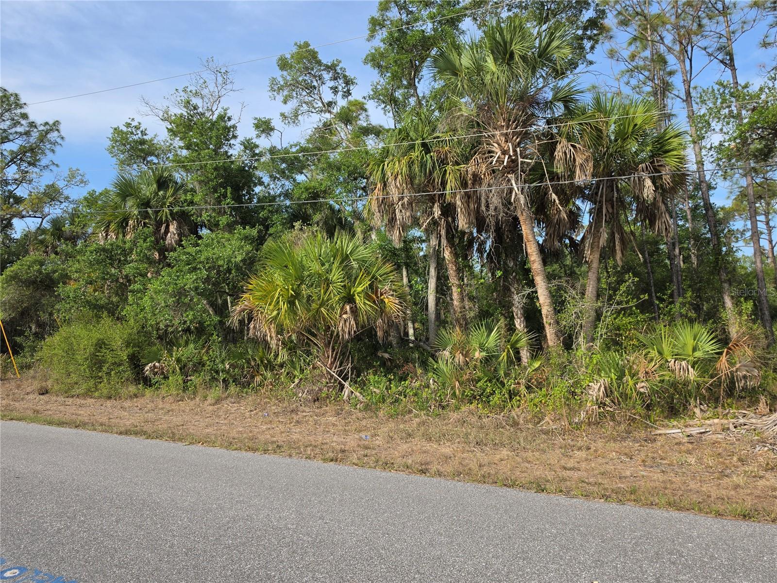 1193 HAMMACHER LN, PORT CHARLOTTE, FL, 33953