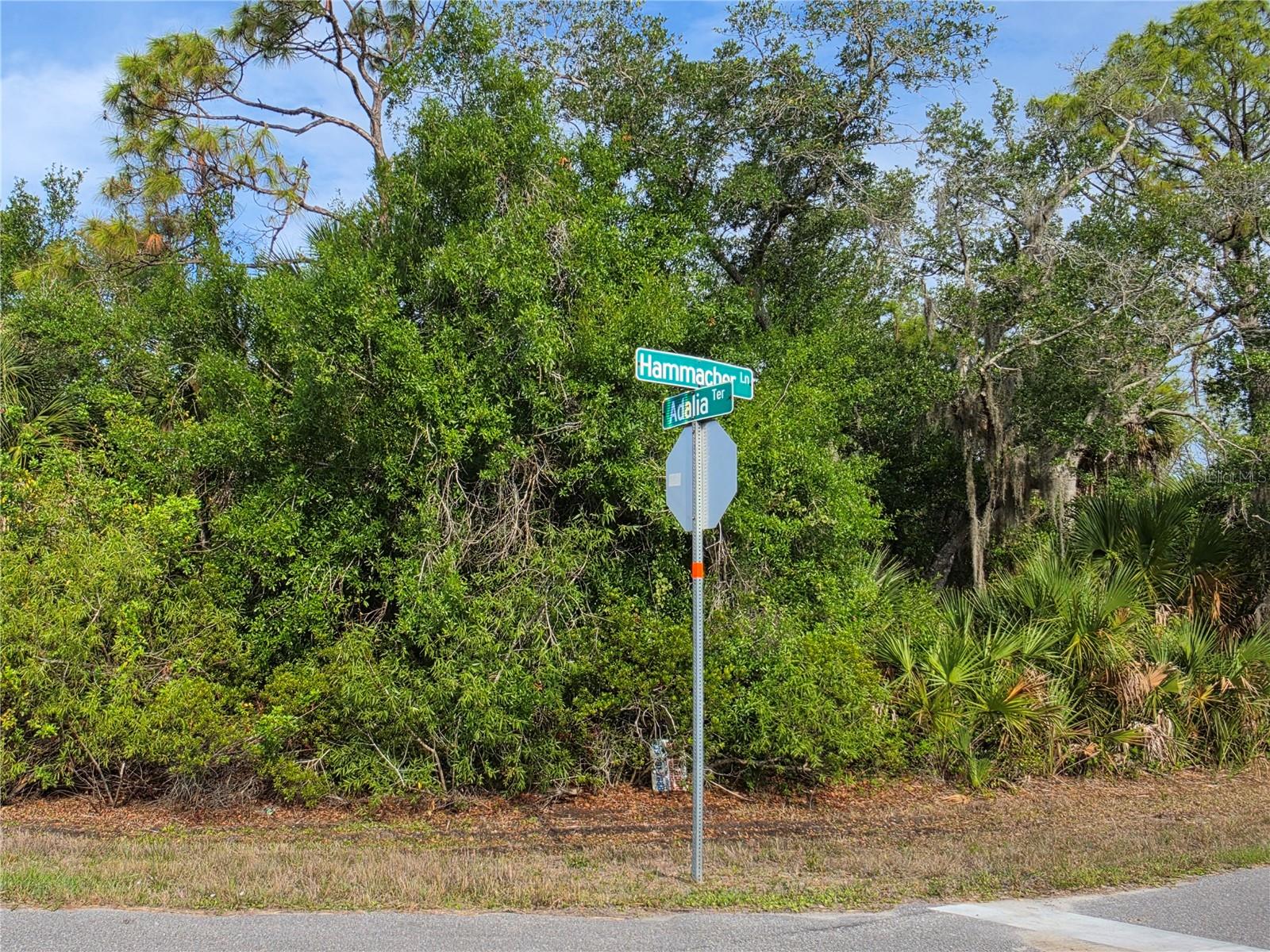 1193 HAMMACHER LN, PORT CHARLOTTE, FL, 33953