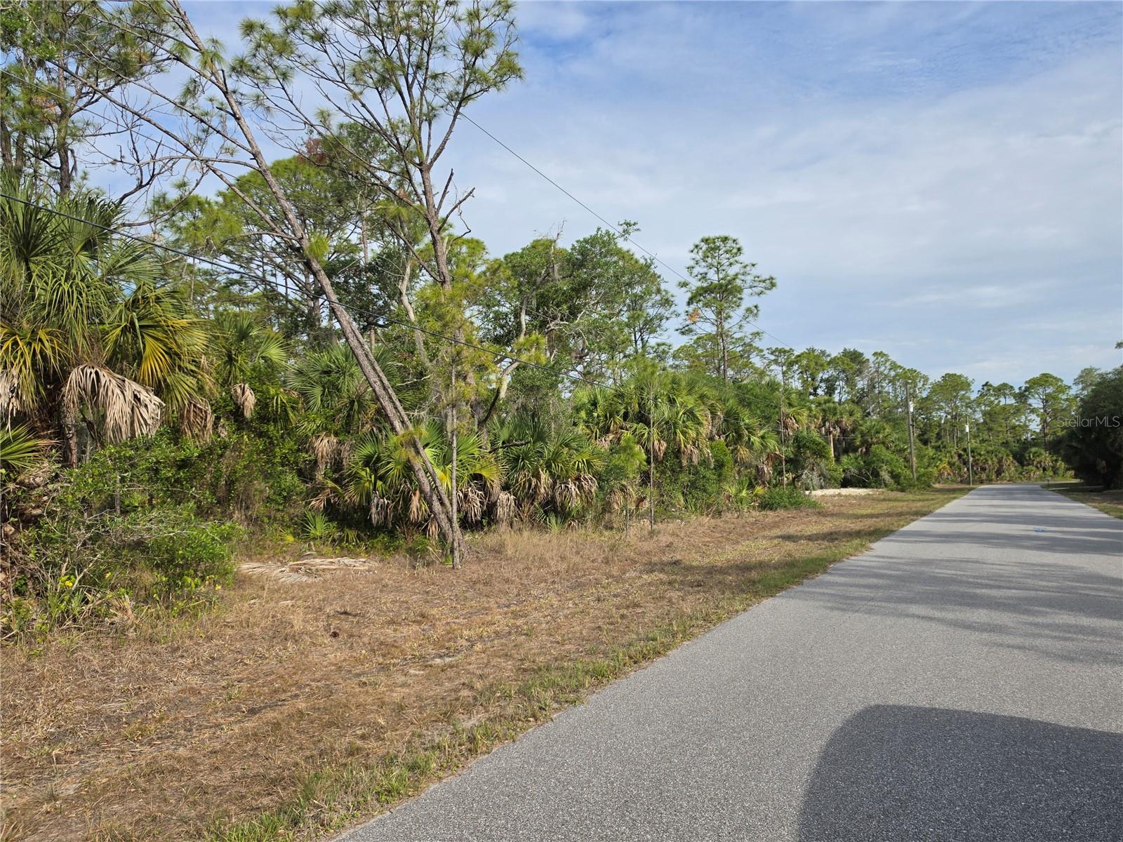 1193 HAMMACHER LN, PORT CHARLOTTE, FL, 33953