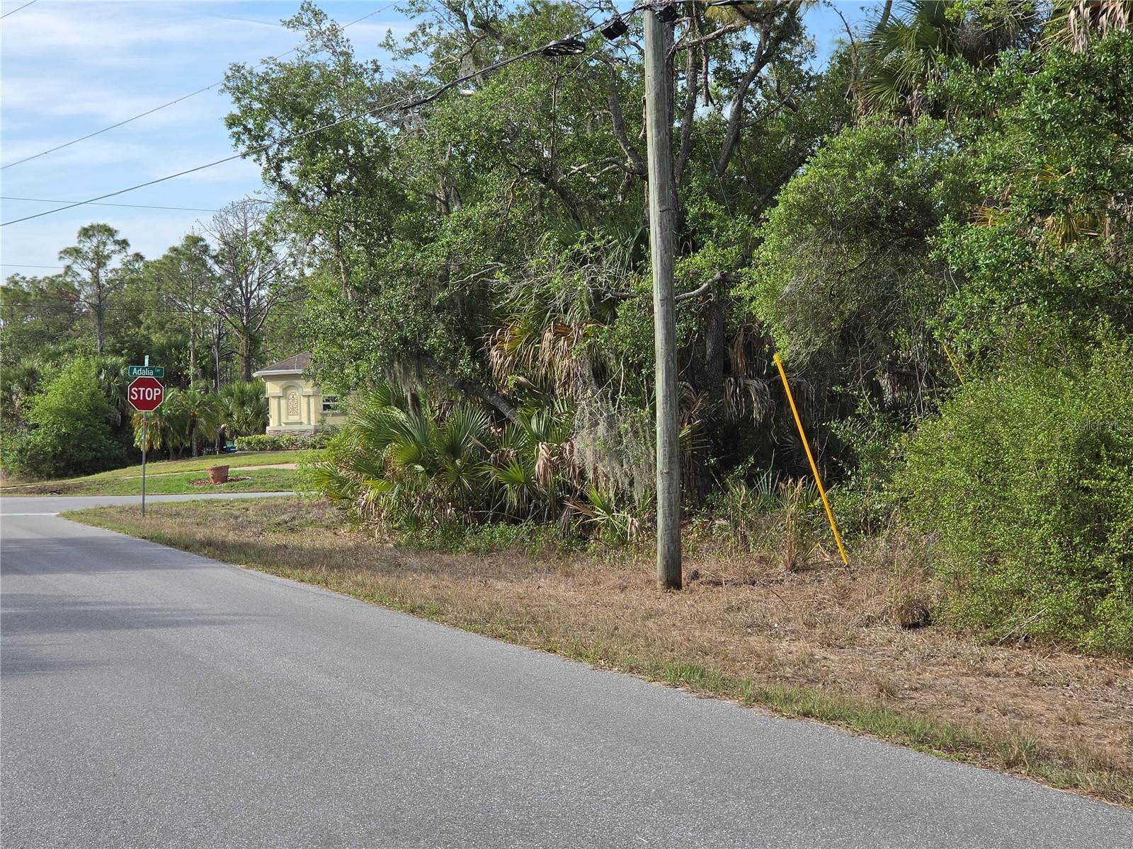 1193 HAMMACHER LN, PORT CHARLOTTE, FL, 33953
