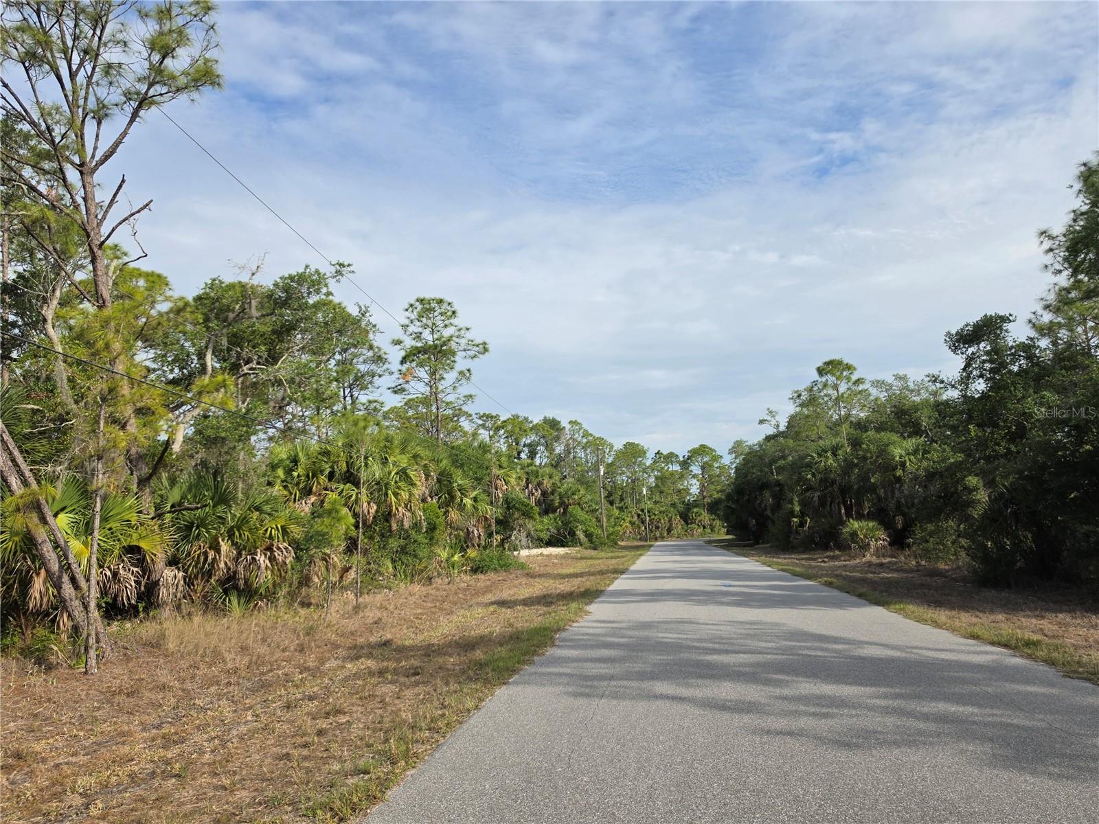 1193 HAMMACHER LN, PORT CHARLOTTE, FL, 33953