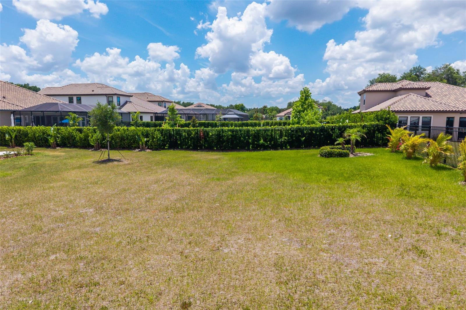 1843 CATTLE BARON CT, LITHIA, FL, 33547