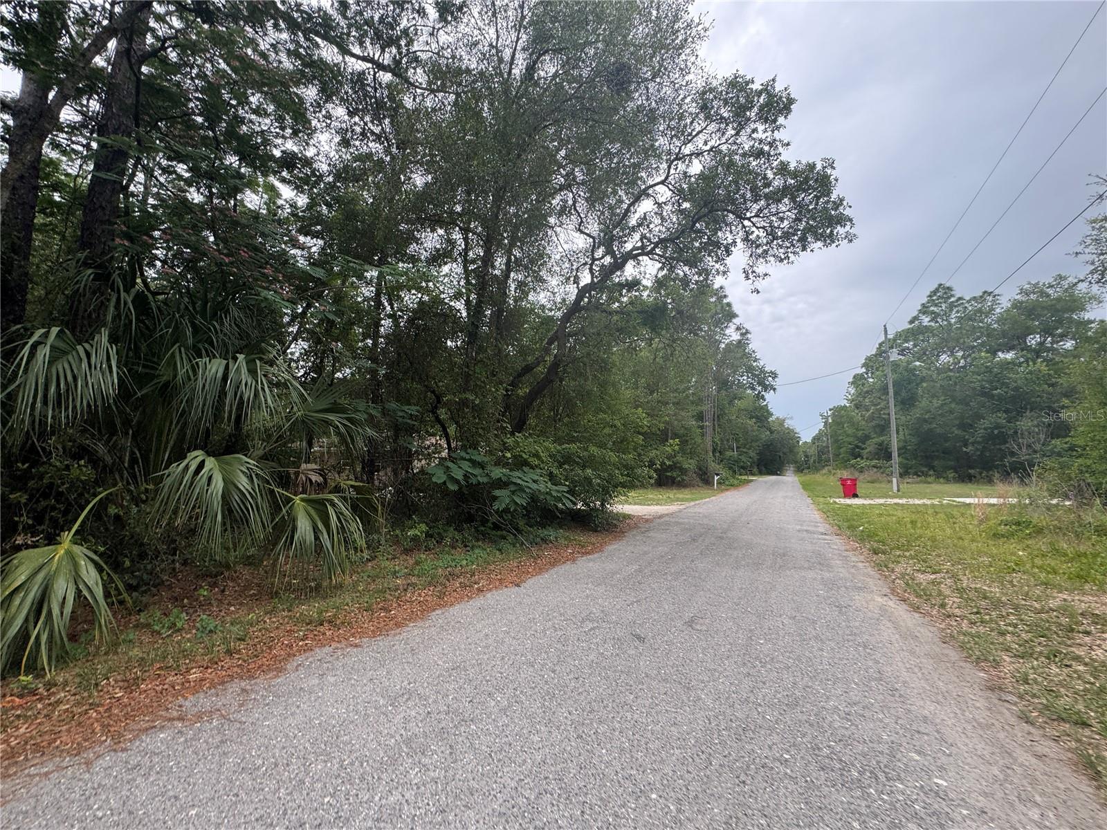 3462 E MICHAEL ST, INVERNESS, FL, 34453