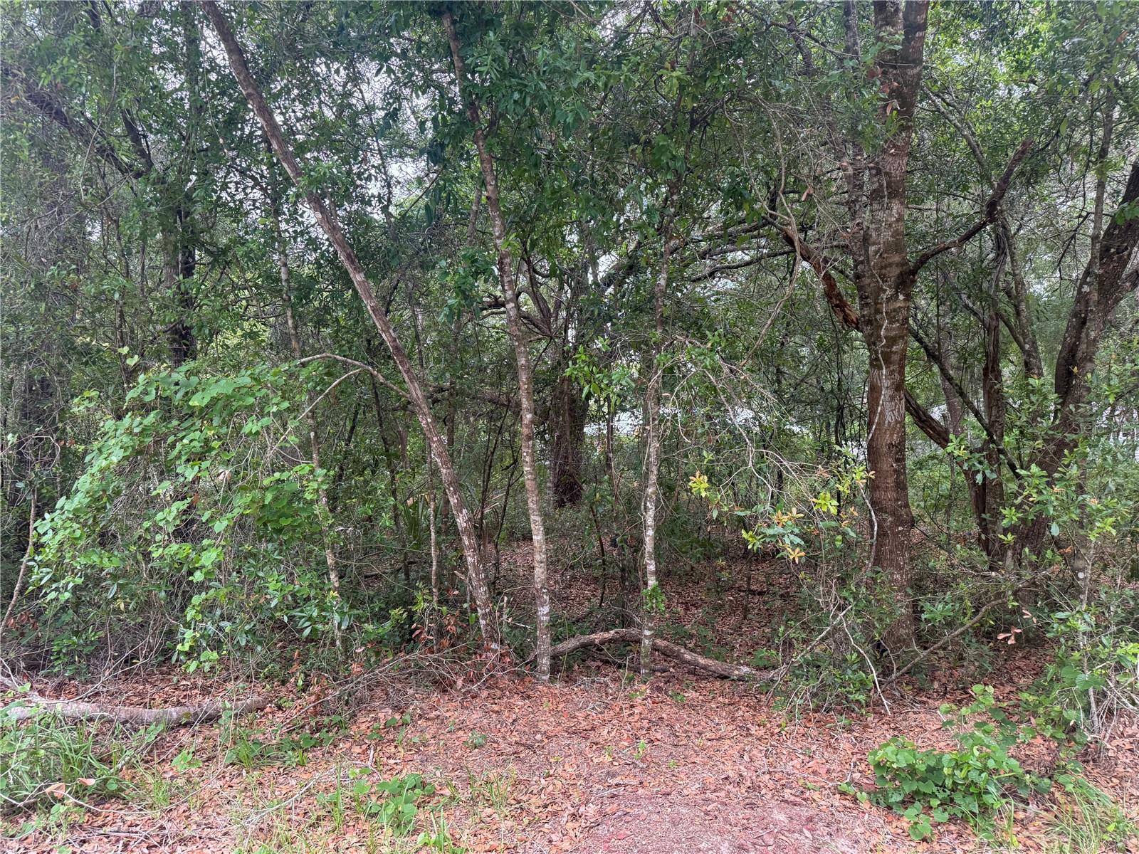 3462 E MICHAEL ST, INVERNESS, FL, 34453