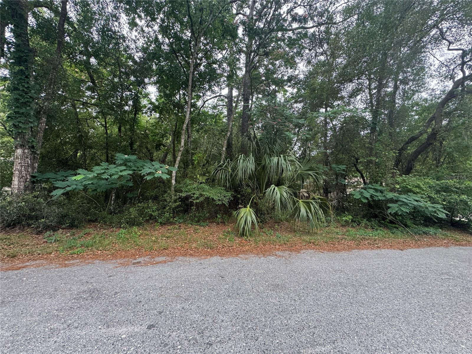 3462 E MICHAEL ST, INVERNESS, FL, 34453