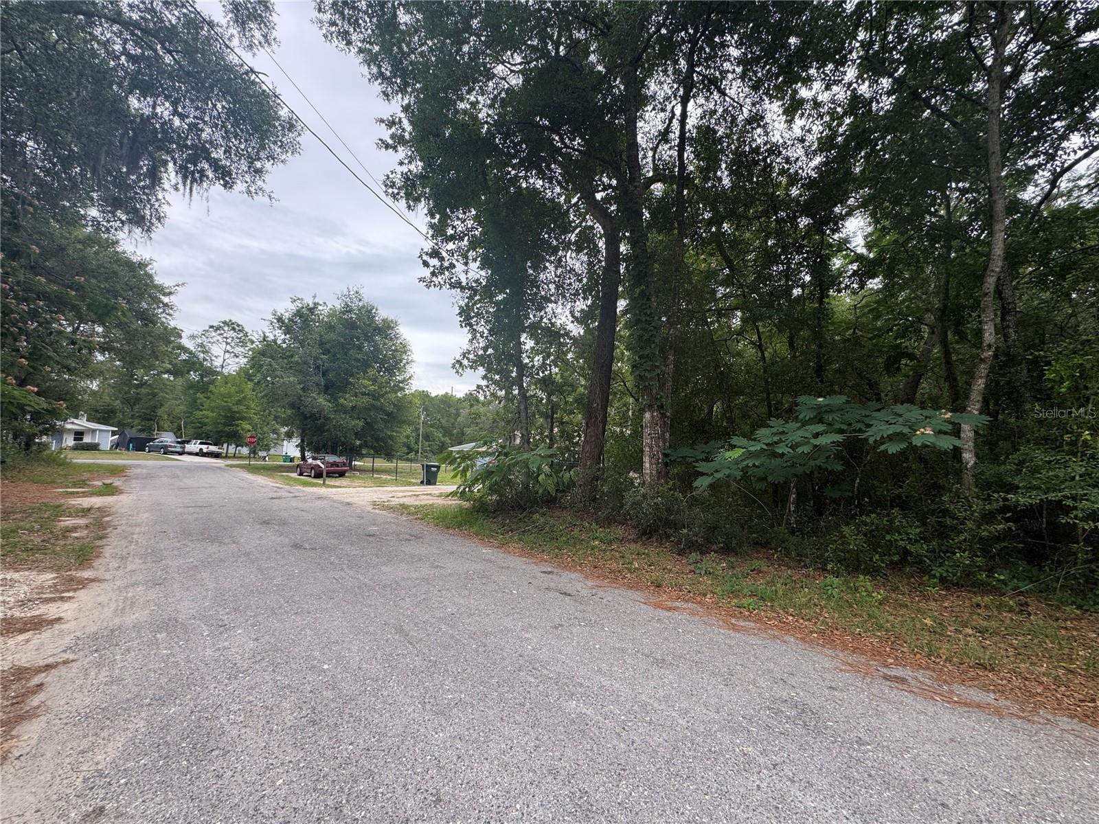 3462 E MICHAEL ST, INVERNESS, FL, 34453