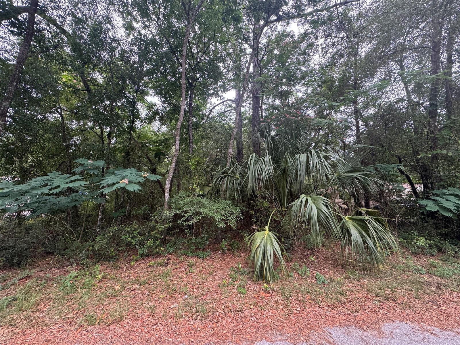 3462 E MICHAEL ST, INVERNESS, FL, 34453