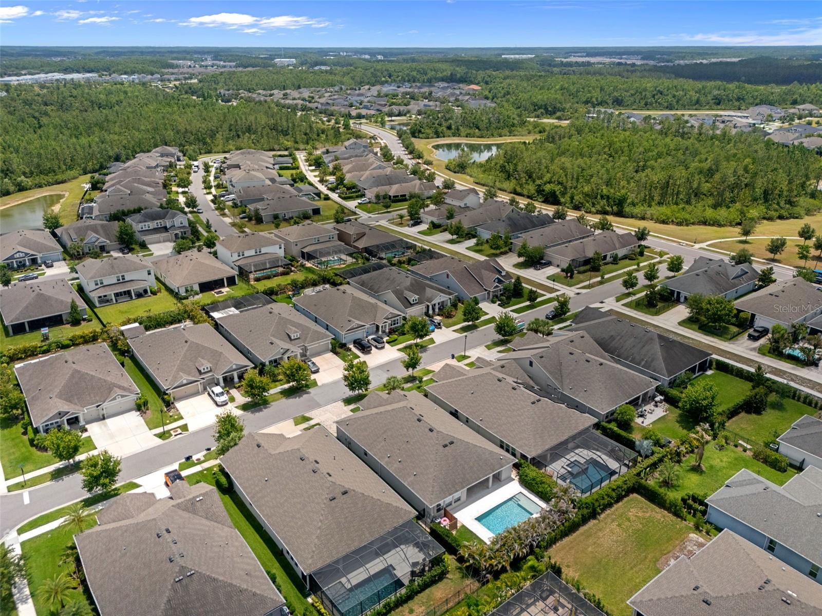 16691 VIBRATO LN, LAND O LAKES, FL, 34638