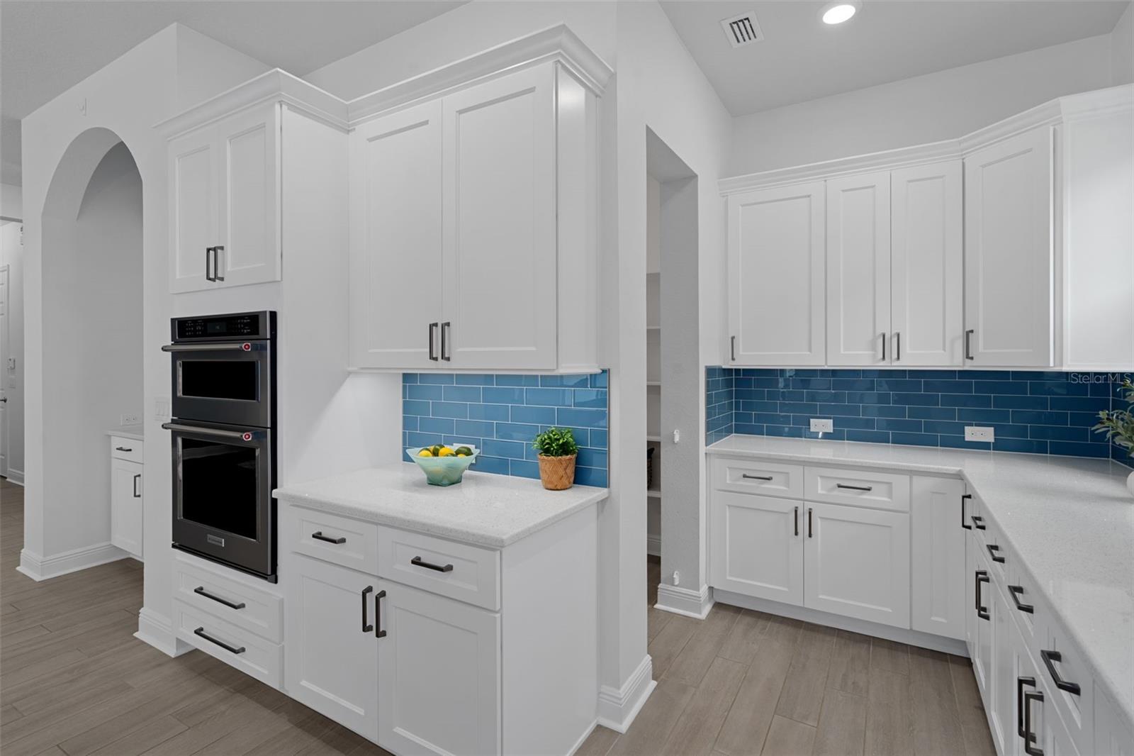 16691 VIBRATO LN, LAND O LAKES, FL, 34638