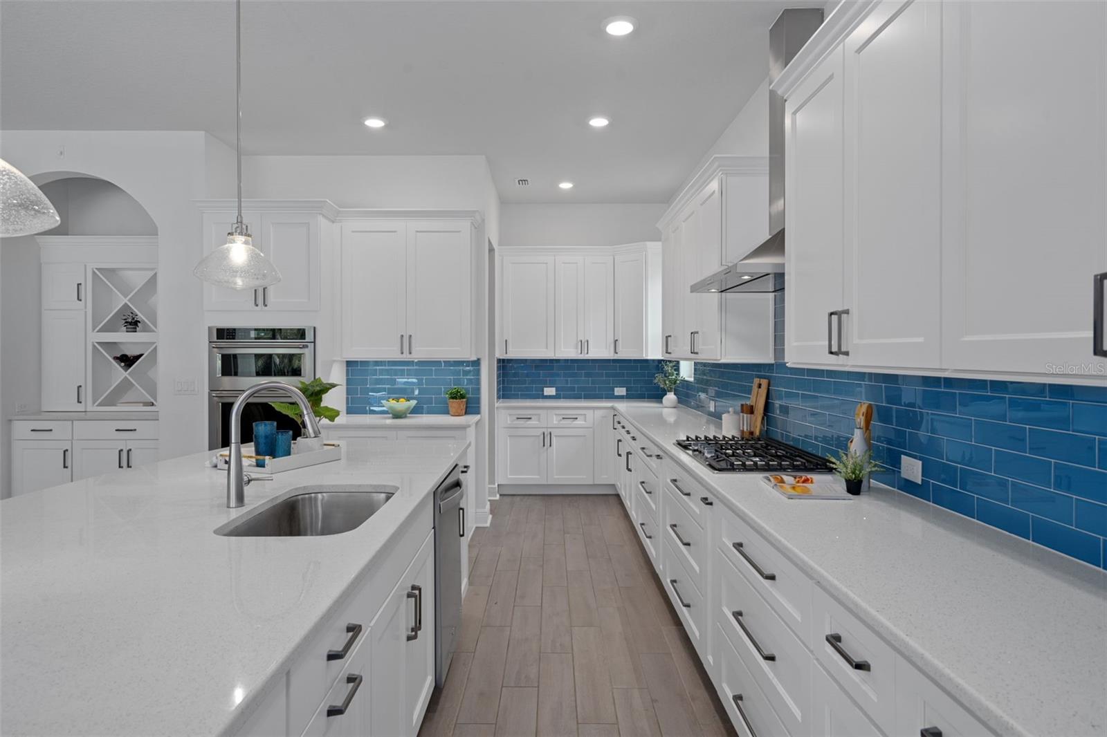 16691 VIBRATO LN, LAND O LAKES, FL, 34638